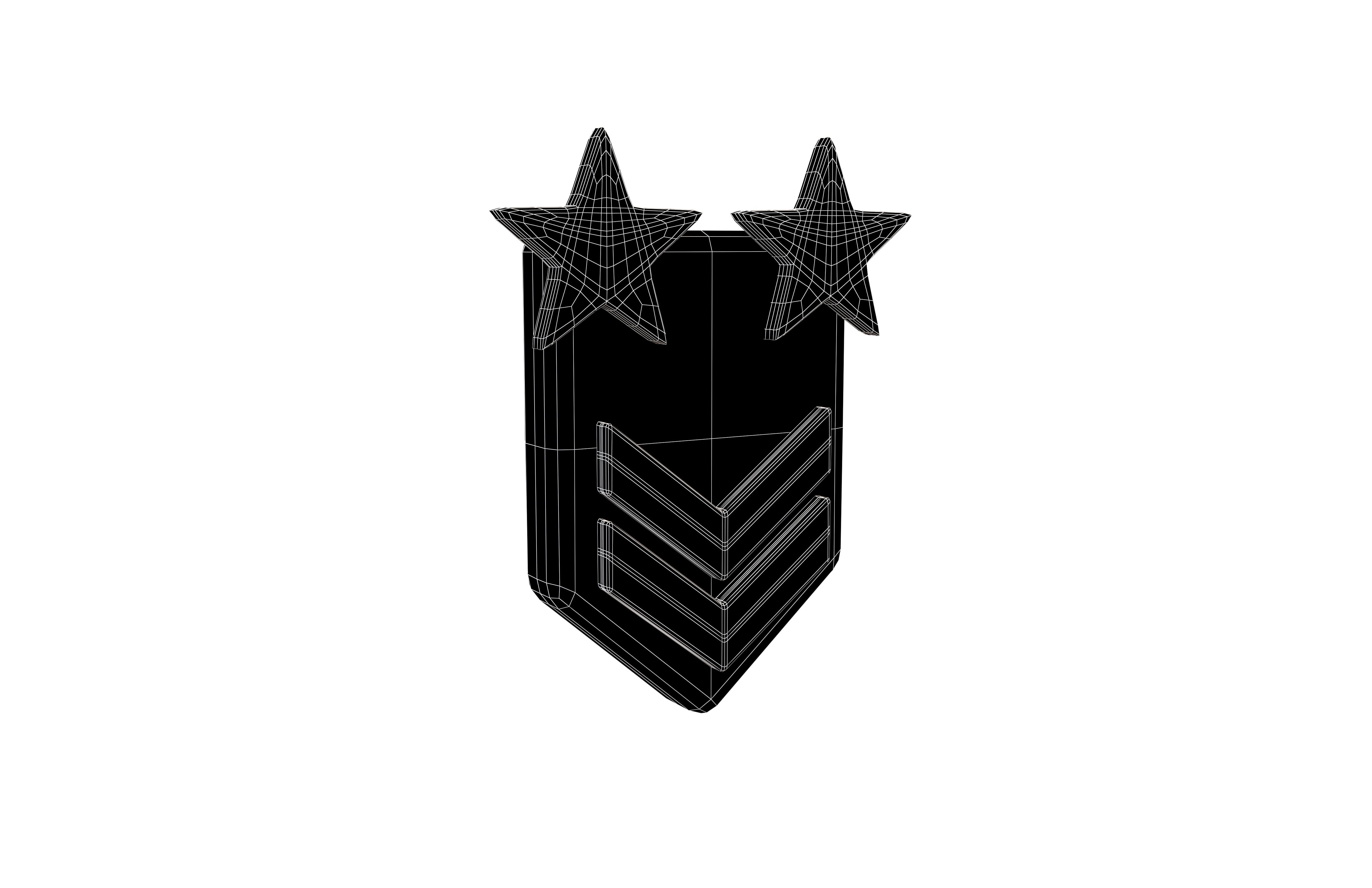 Rank Medal v11 003 Low-poly 3D model_7