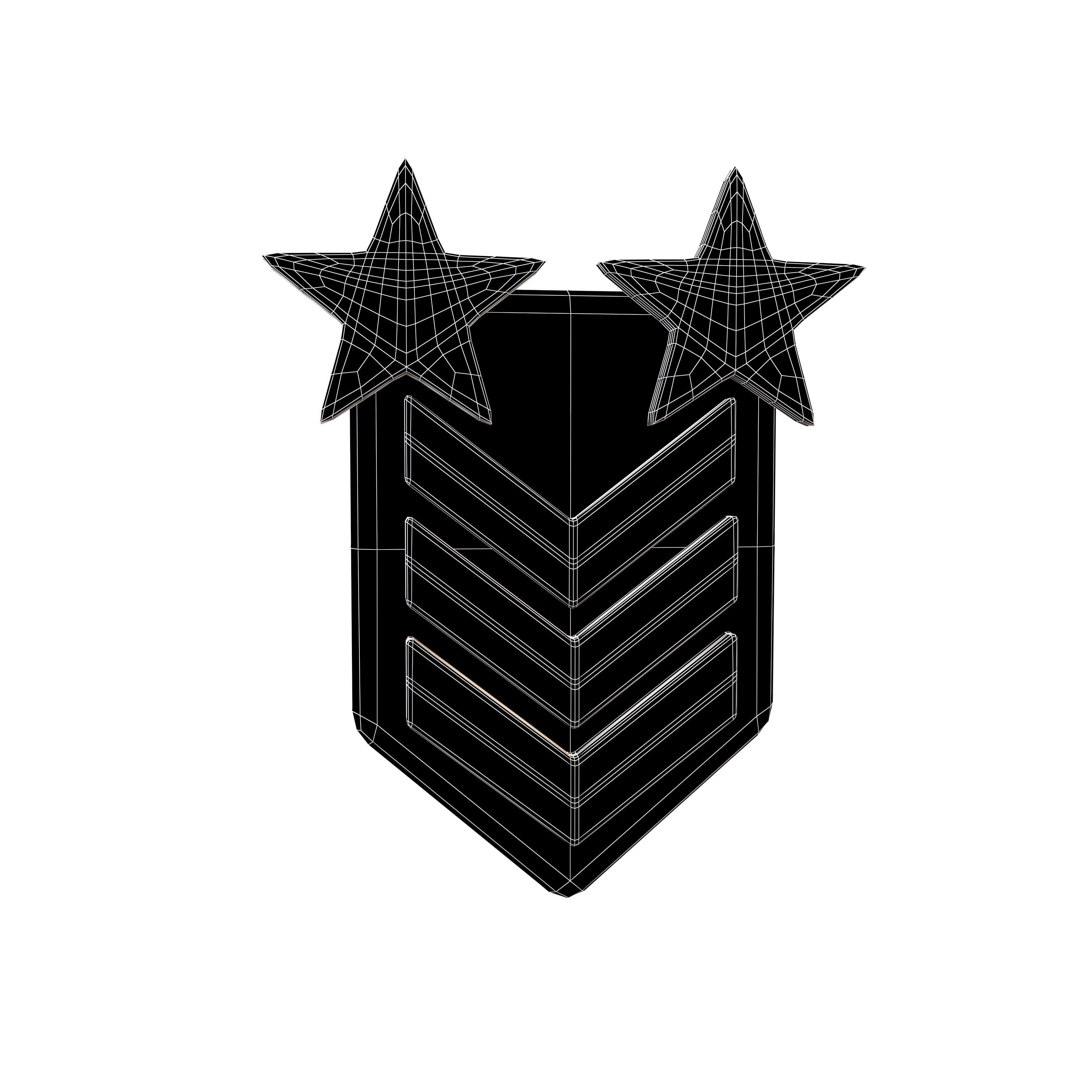 Rank Medal v12 004 Low-poly 3D model_5