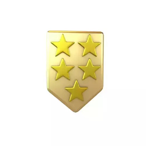 Rank Medal v17 008