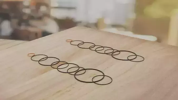 Circular ears women Jewelry