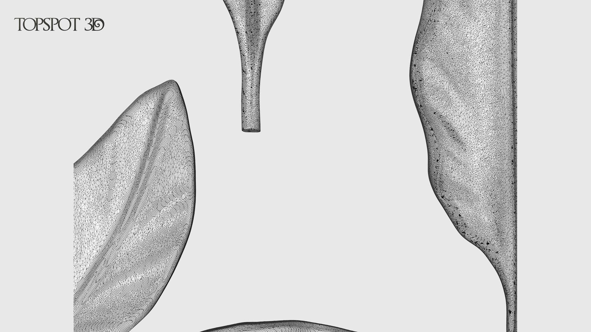 Laurel Leaves Set 3D print model_26