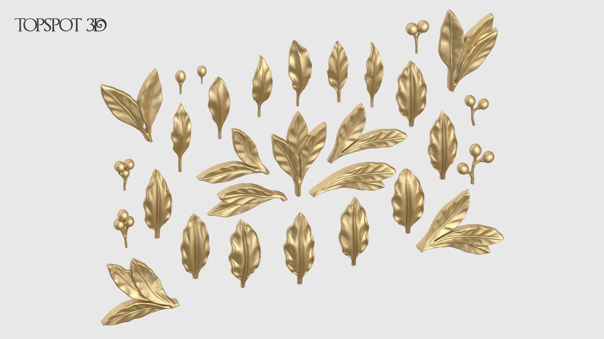 Laurel Leaves Set 3D print model_3