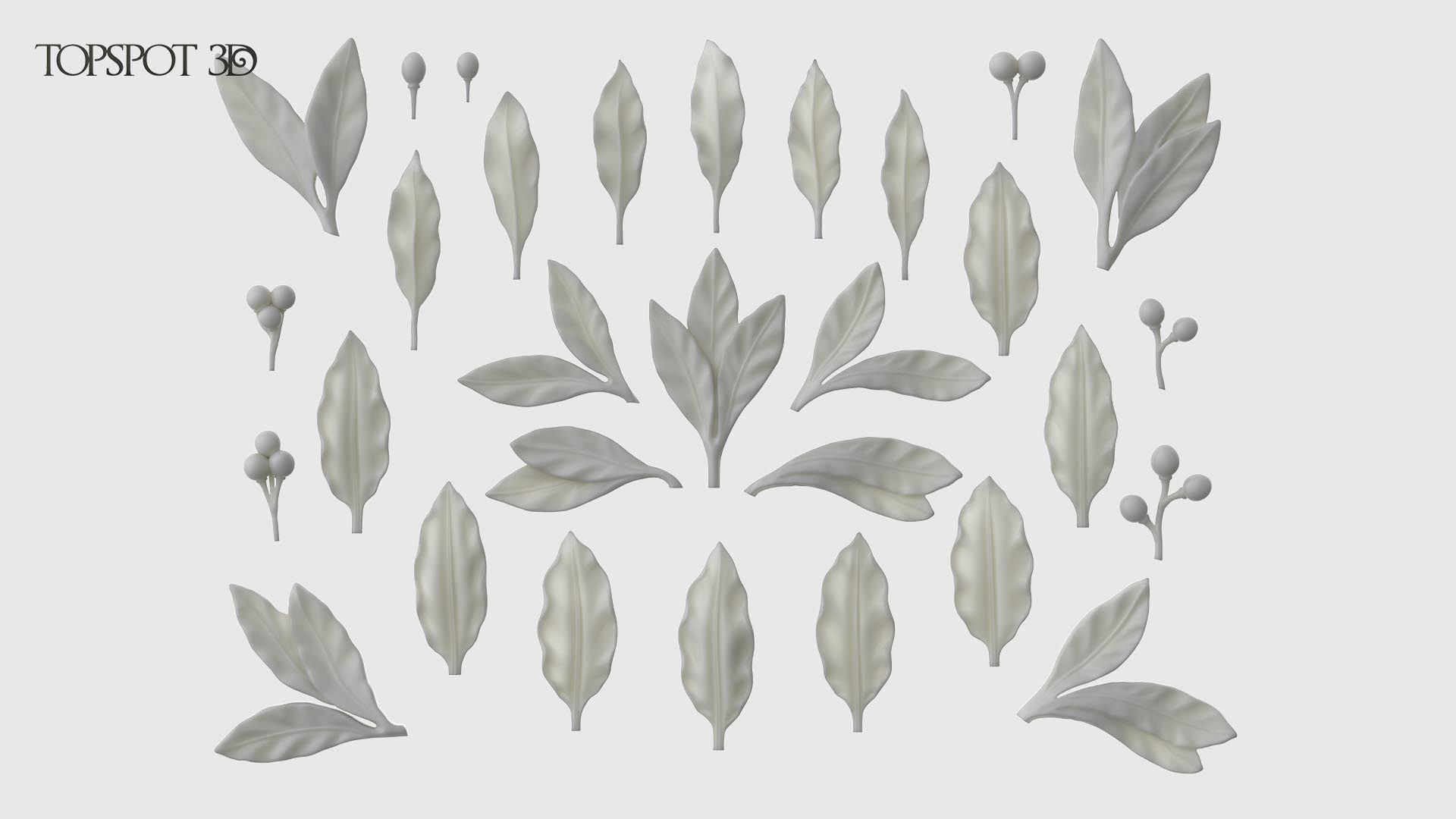 Laurel Leaves Set 3D print model_24