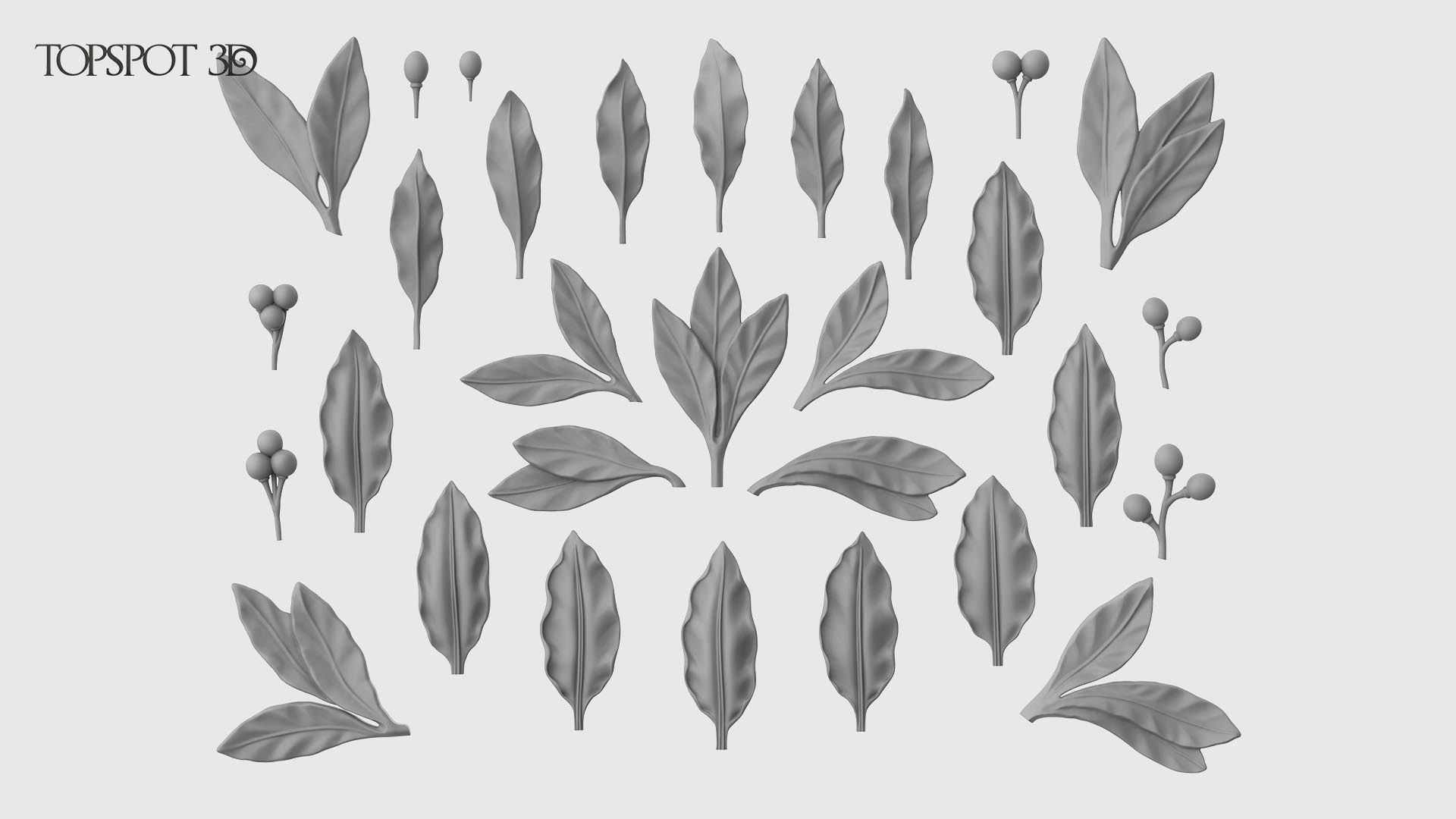 Laurel Leaves Set 3D print model_19