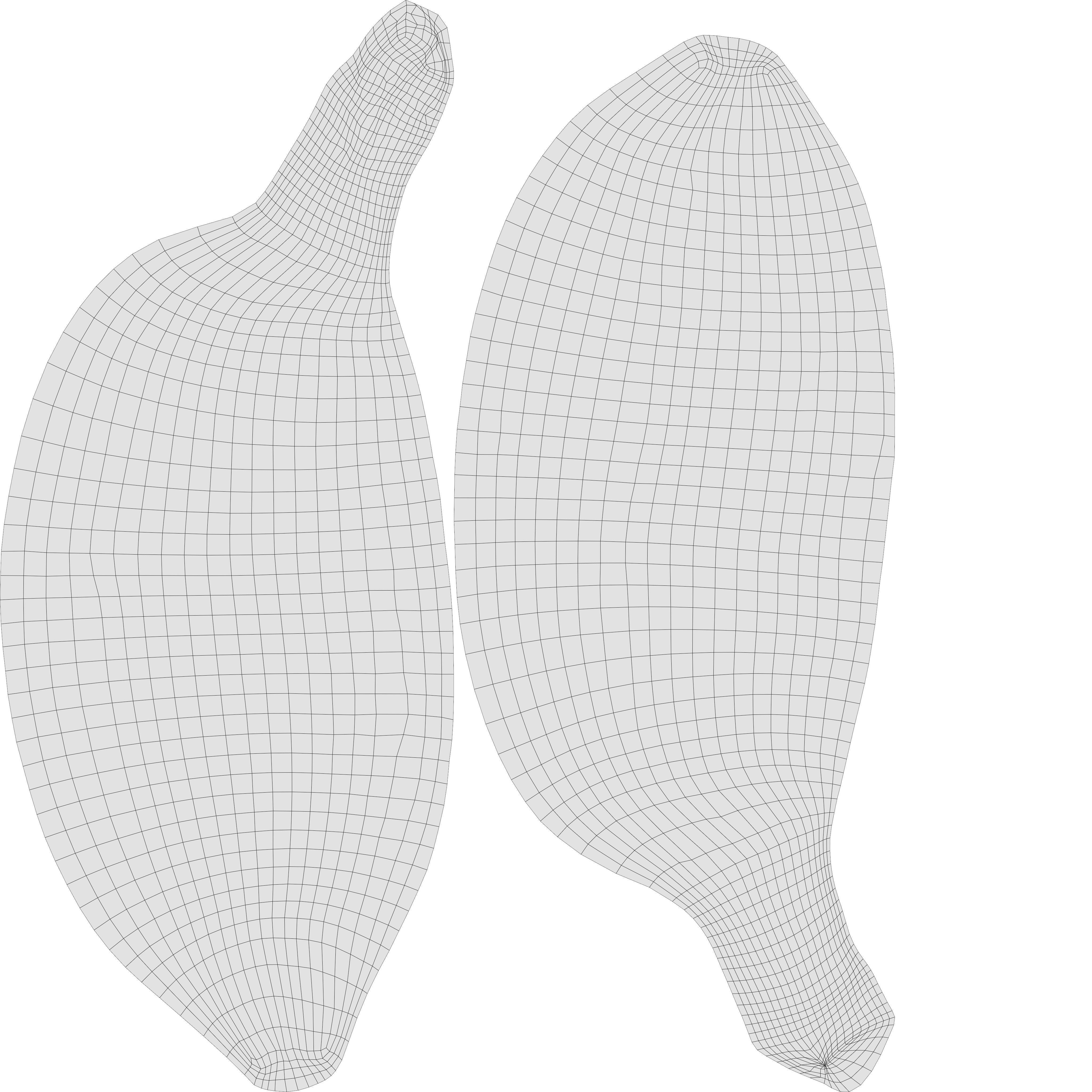 Realistic Sugar banana 2 Low-poly 3D model_21