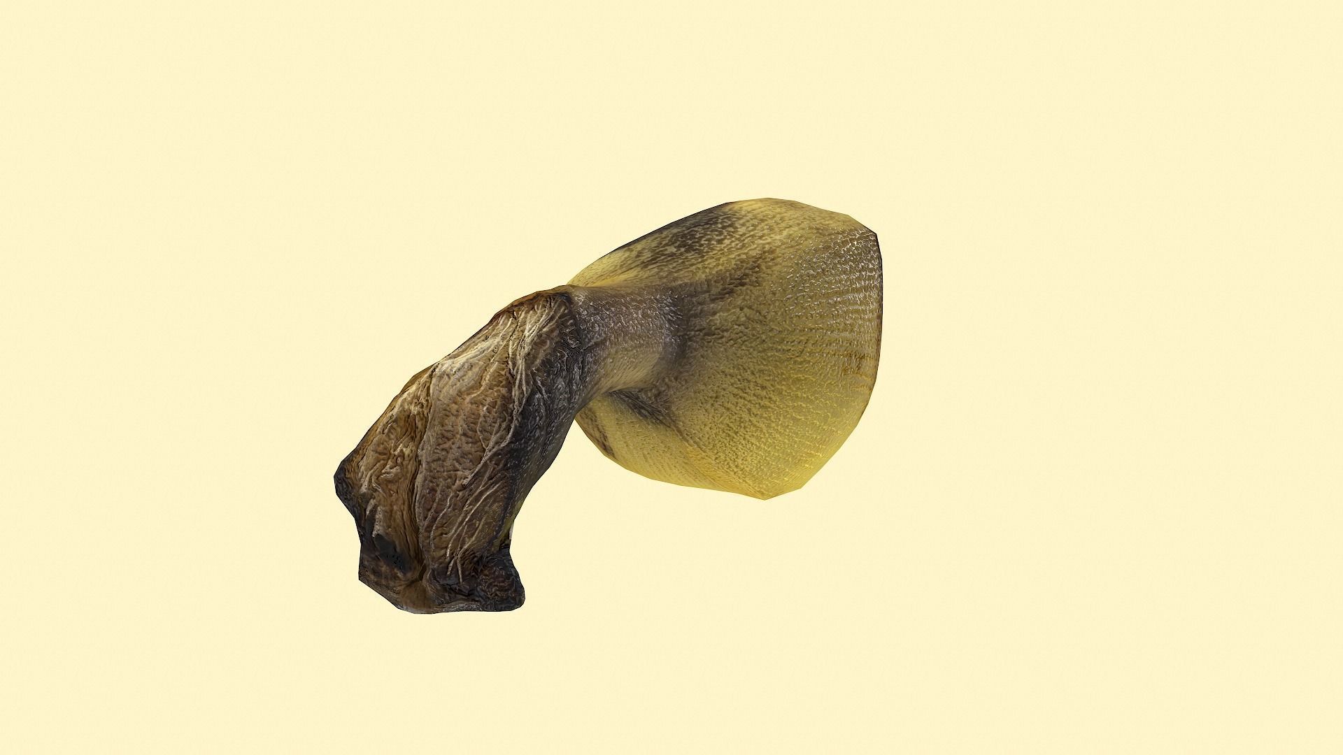 Realistic Sugar banana 2 Low-poly 3D model_9