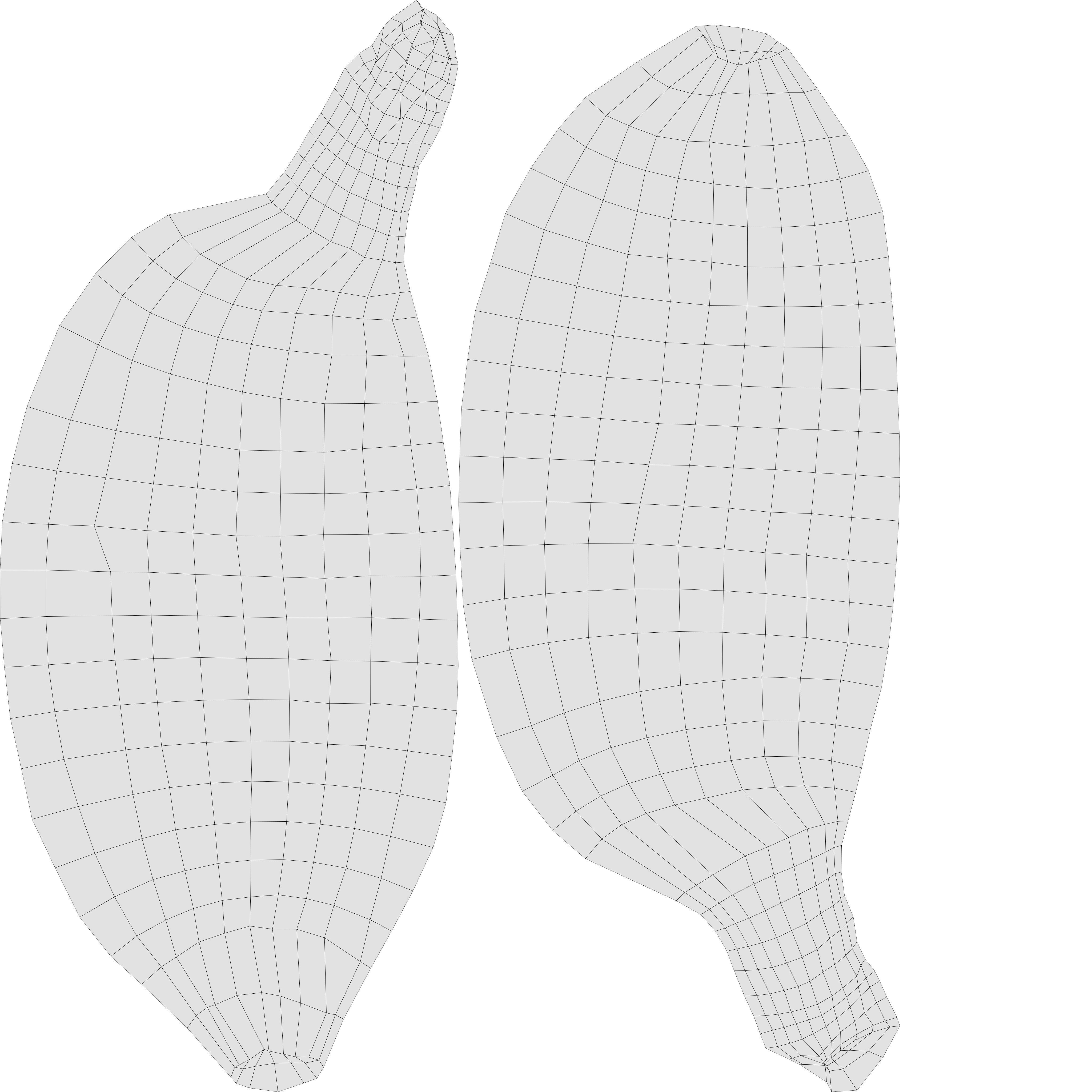 Realistic Sugar banana 2 Low-poly 3D model_22