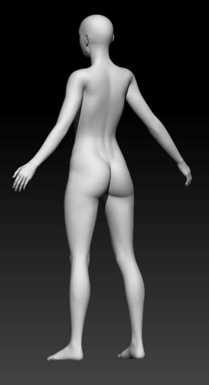 Female Base Mesh 6 3D model_3