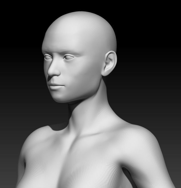 Female Base Mesh 6 3D model_5