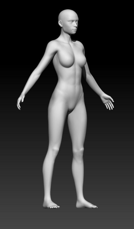 Female Base Mesh 6 3D model_4