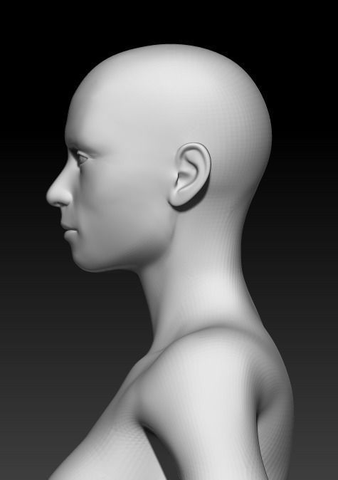 Female Base Mesh 6 3D model_6