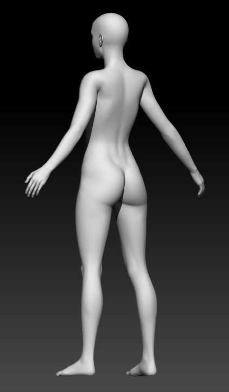 Female Base Mesh 7 3D model_3