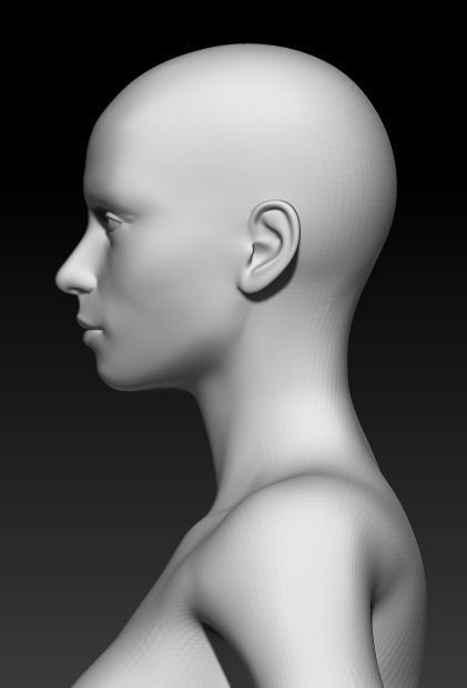 Female Base Mesh 7 3D model_6