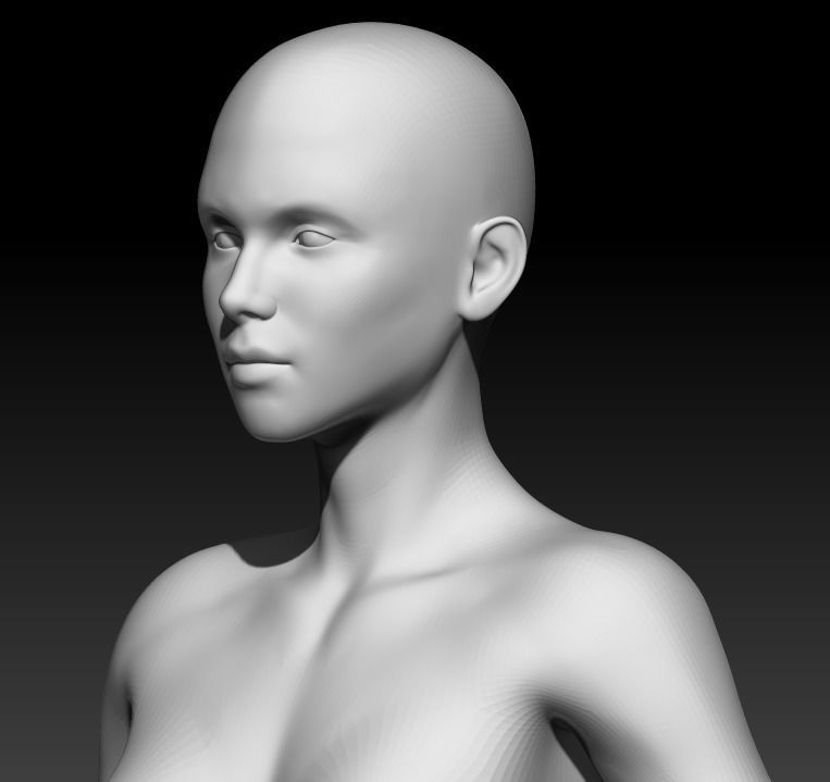 Female Base Mesh 8 3D model_5