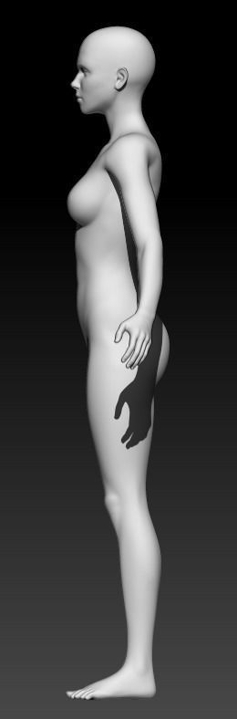 Female Base Mesh 8 3D model_2