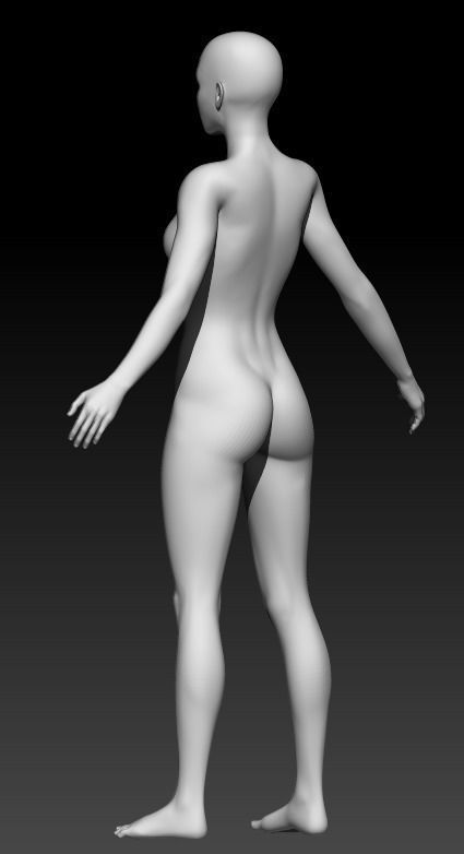 Female Base Mesh 8 3D model_3