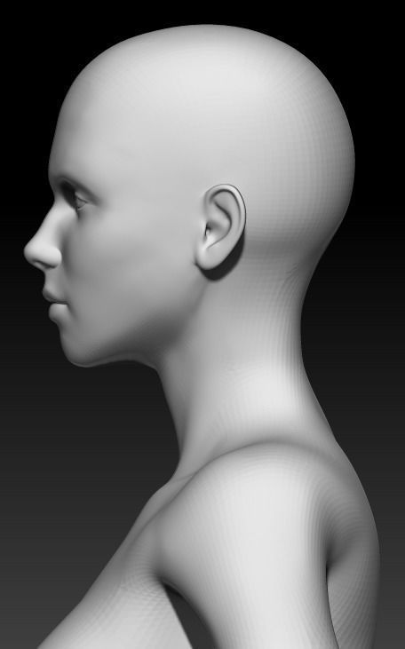 Female Base Mesh 8 3D model_6