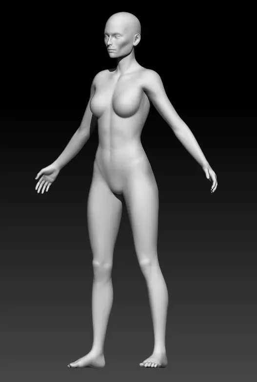 Female Base Mesh 9 3D model_0