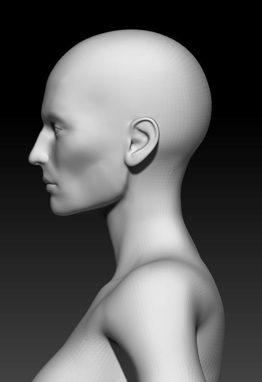 Female Base Mesh 9 3D model_6