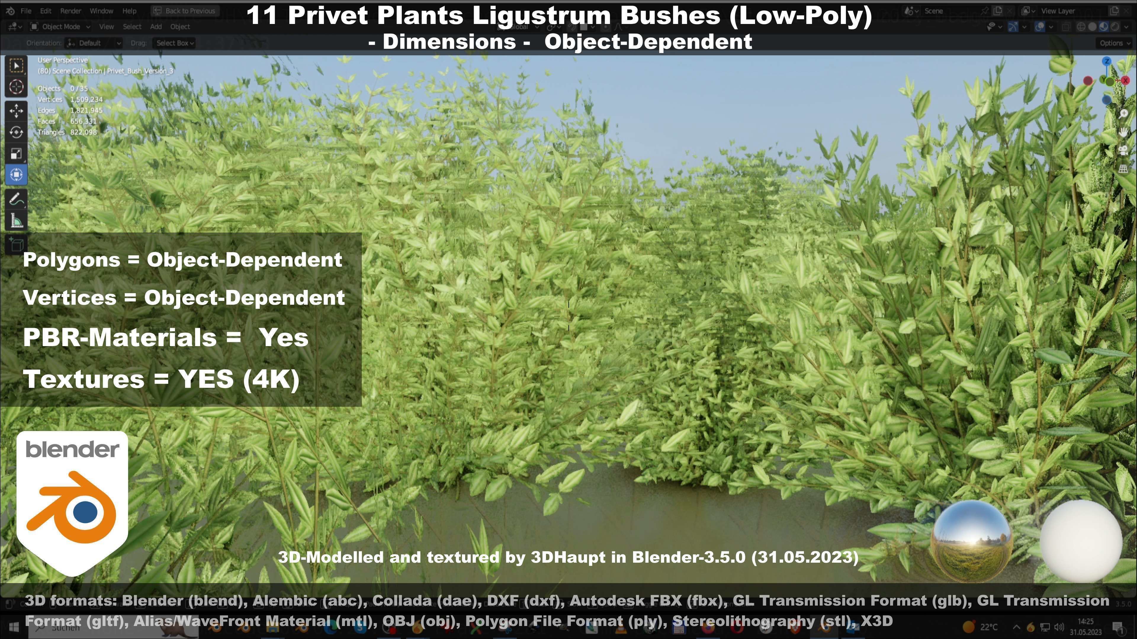 11 Privet Plants Ligustrum Low-poly 3D model_135