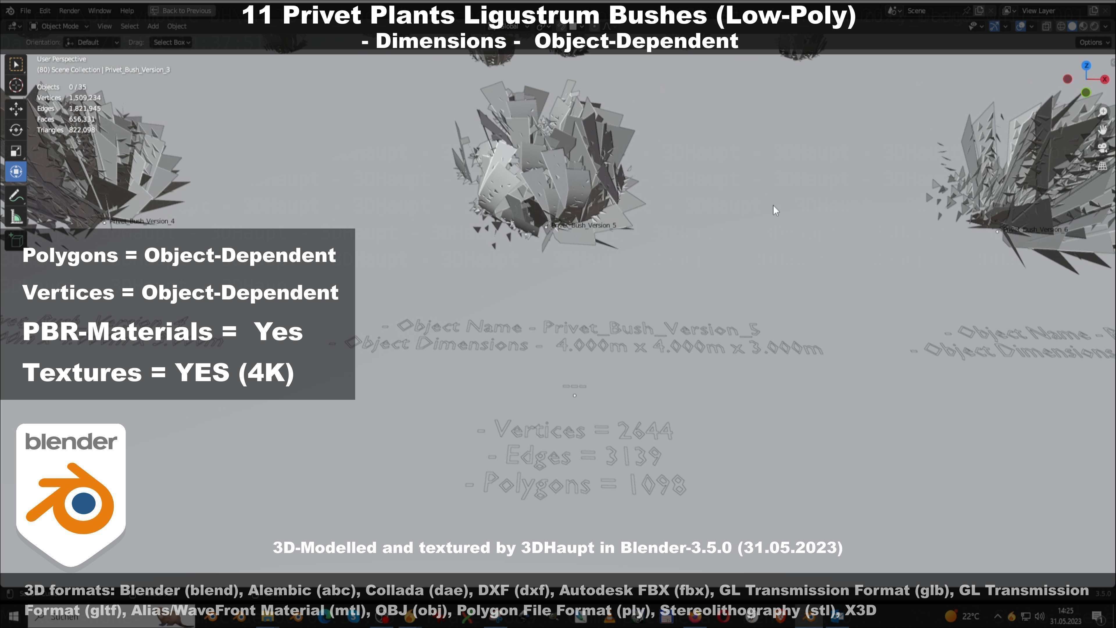 11 Privet Plants Ligustrum Low-poly 3D model_78