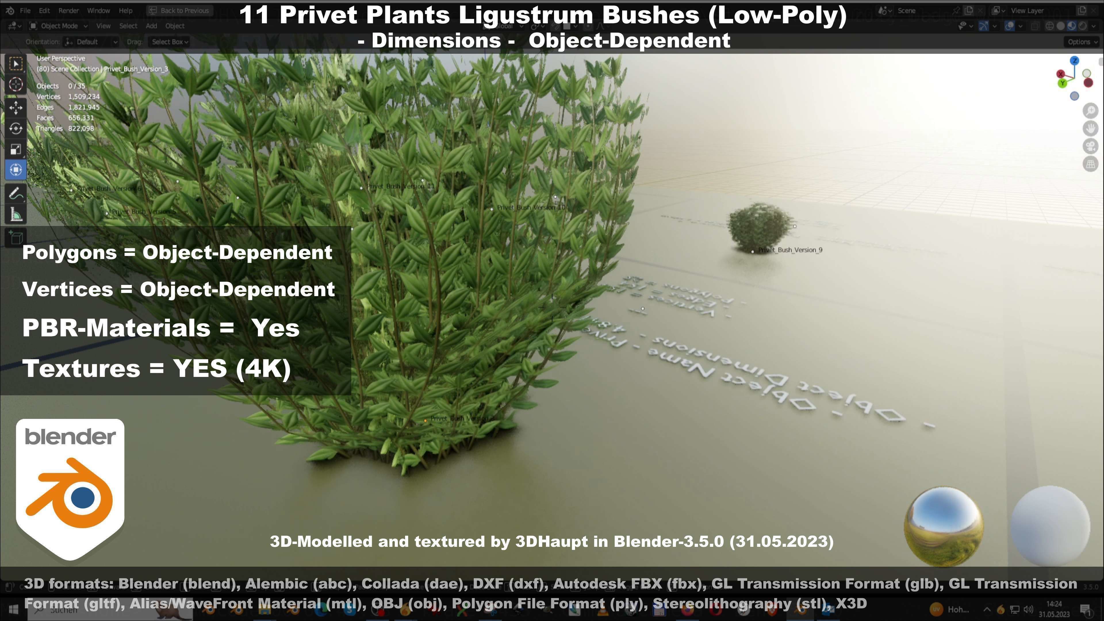 11 Privet Plants Ligustrum Low-poly 3D model_115