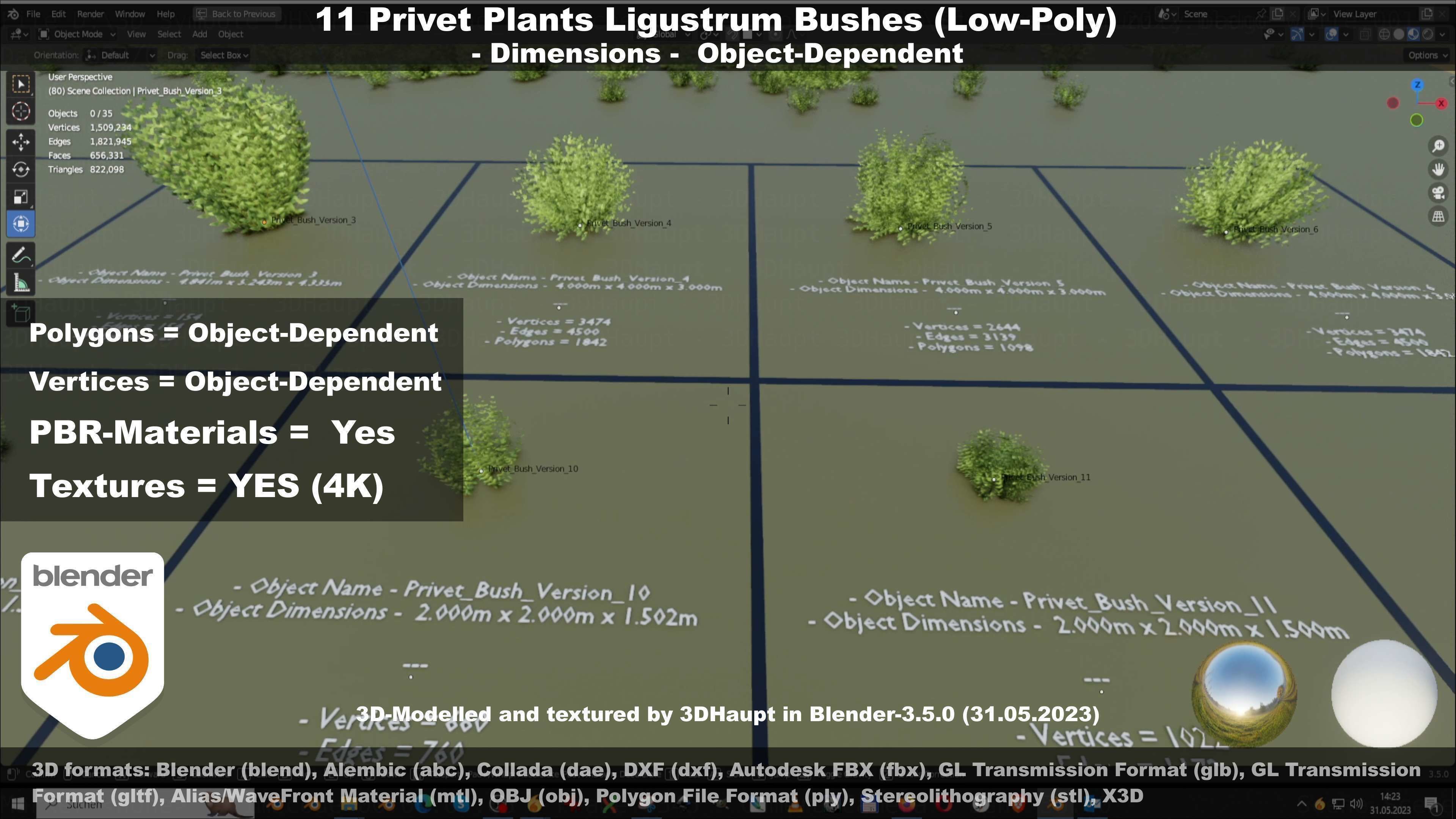 11 Privet Plants Ligustrum Low-poly 3D model_98