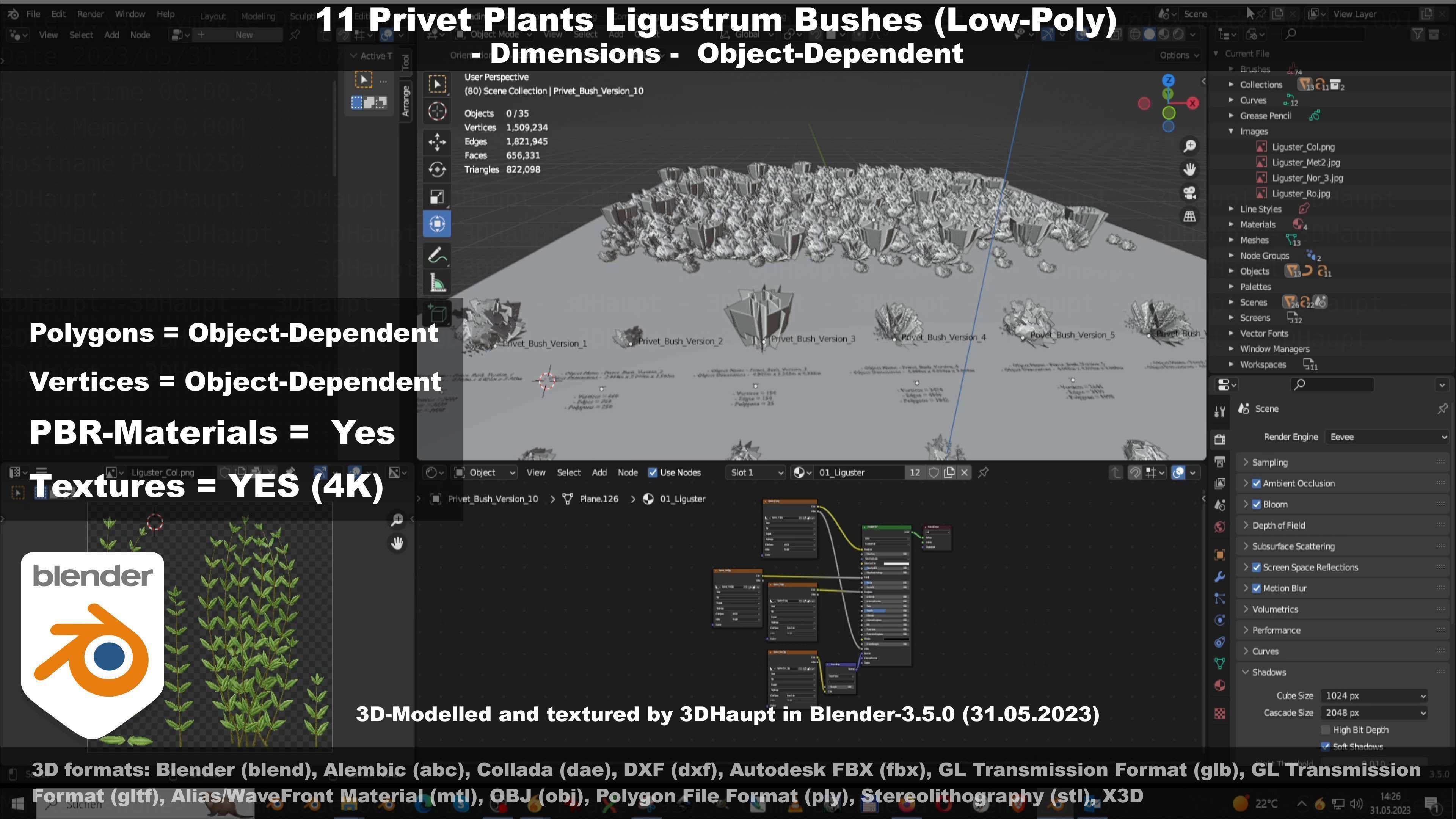 11 Privet Plants Ligustrum Low-poly 3D model_108