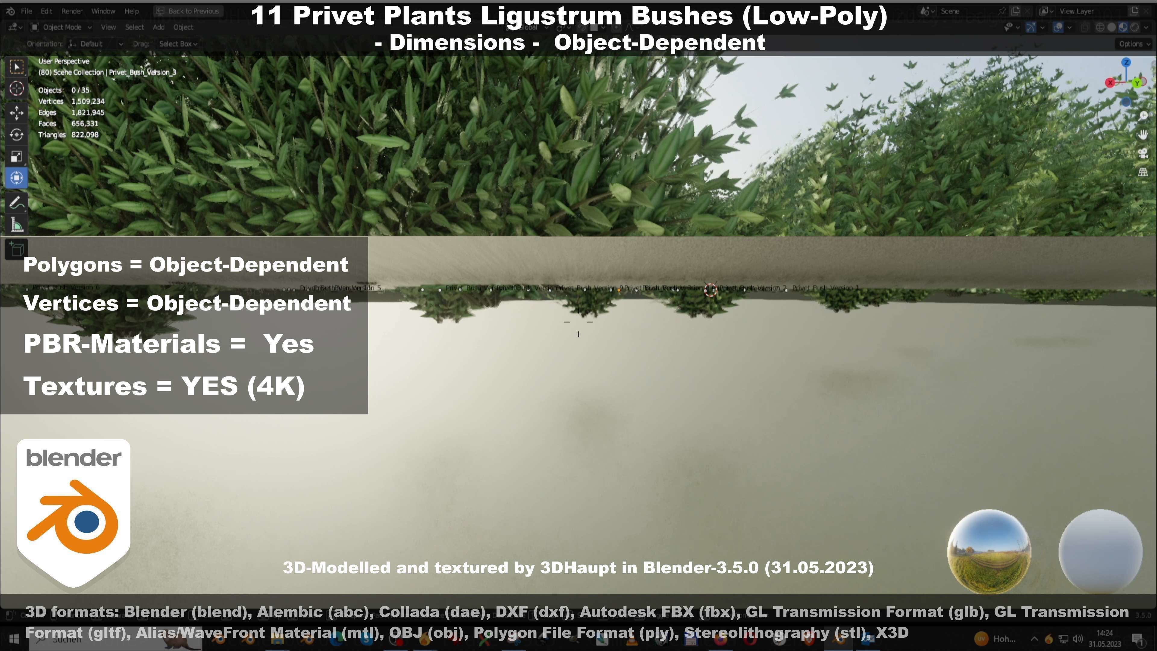 11 Privet Plants Ligustrum Low-poly 3D model_119