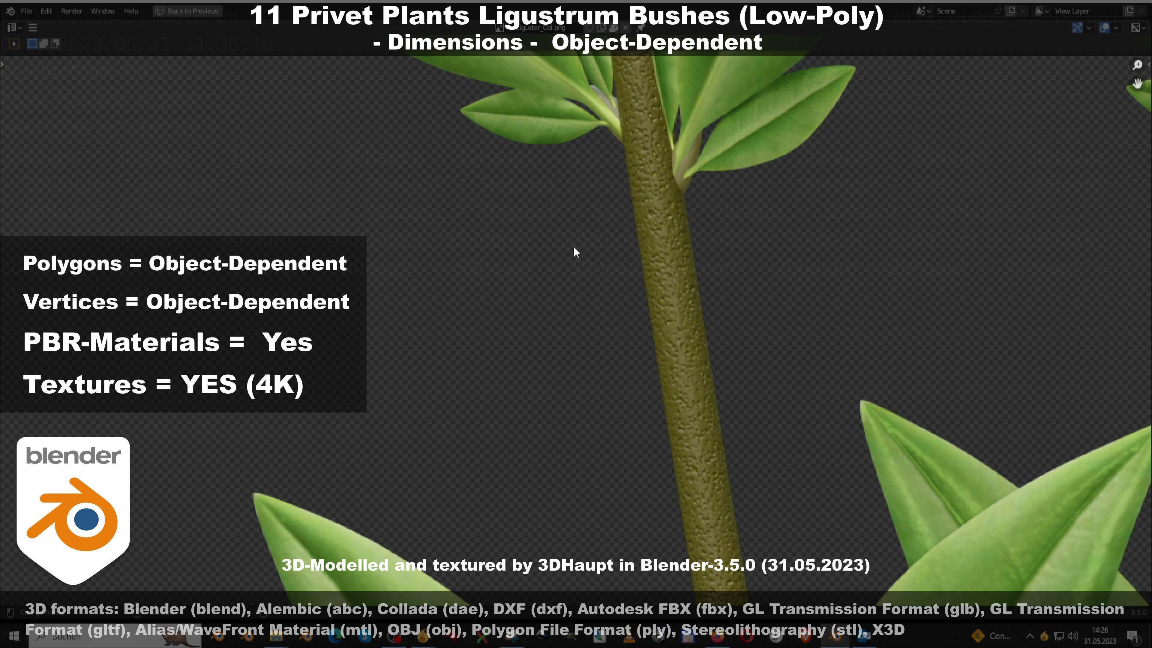 11 Privet Plants Ligustrum Low-poly 3D model_96
