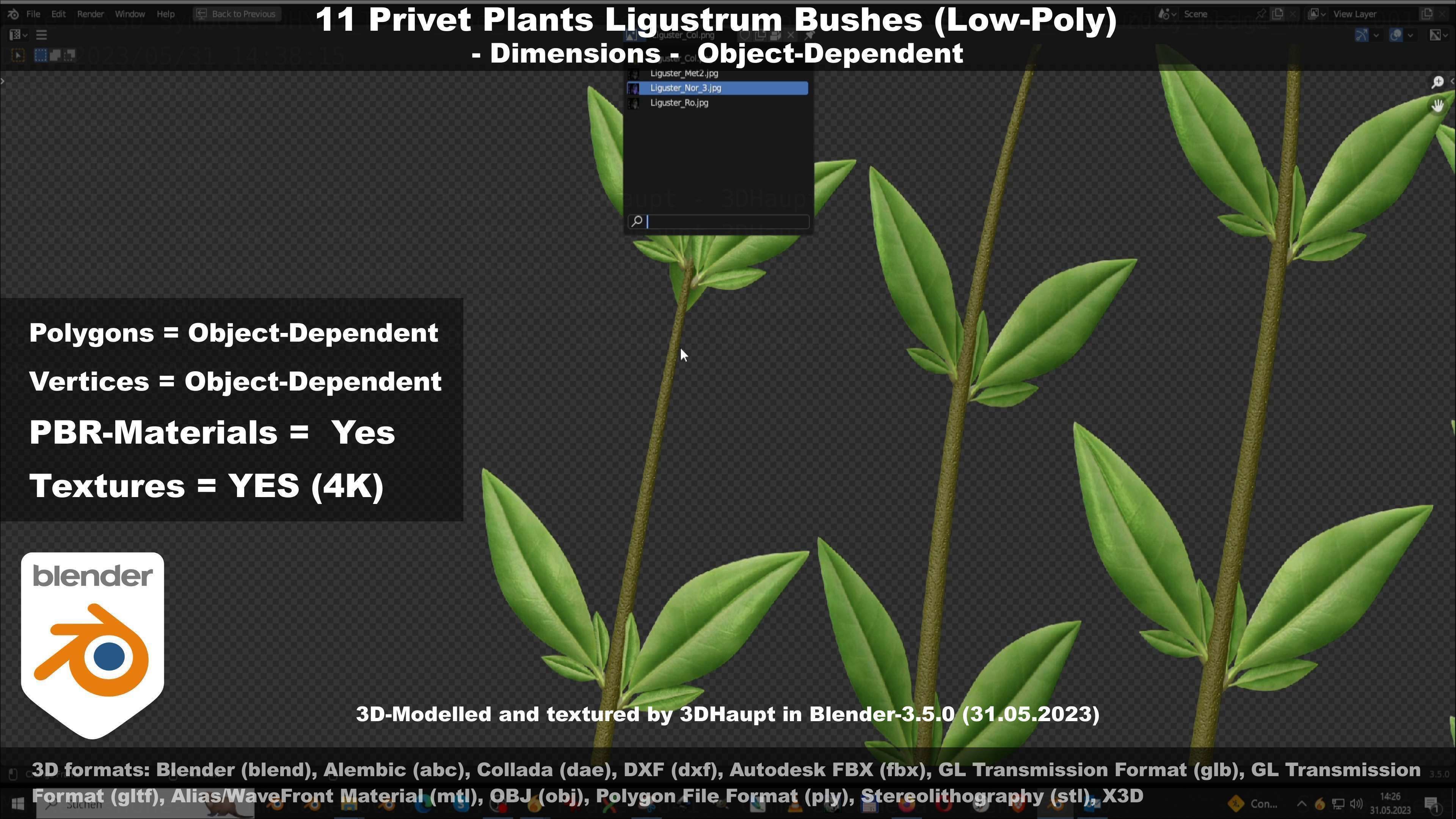 11 Privet Plants Ligustrum Low-poly 3D model_112