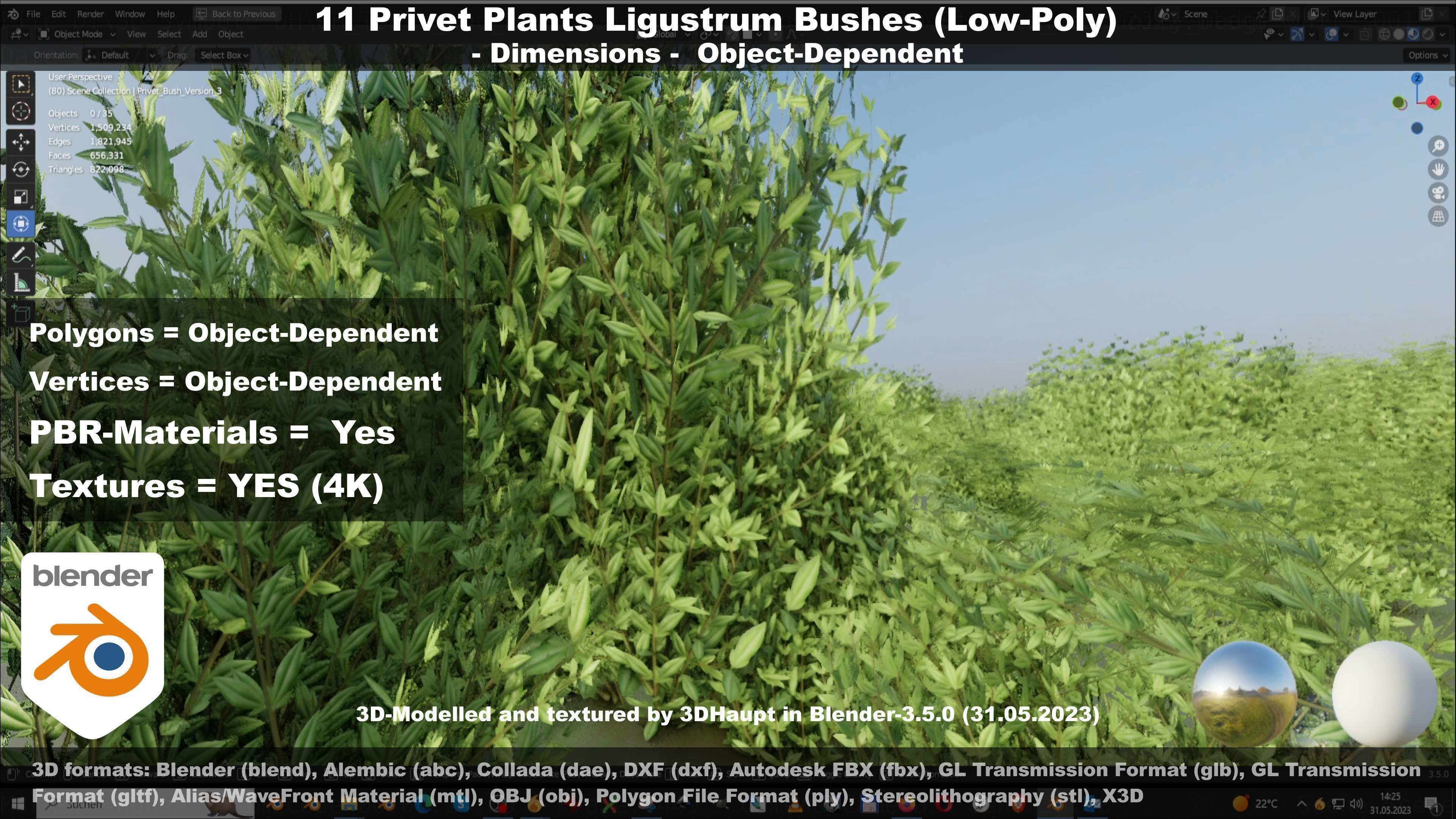 11 Privet Plants Ligustrum Low-poly 3D model_130