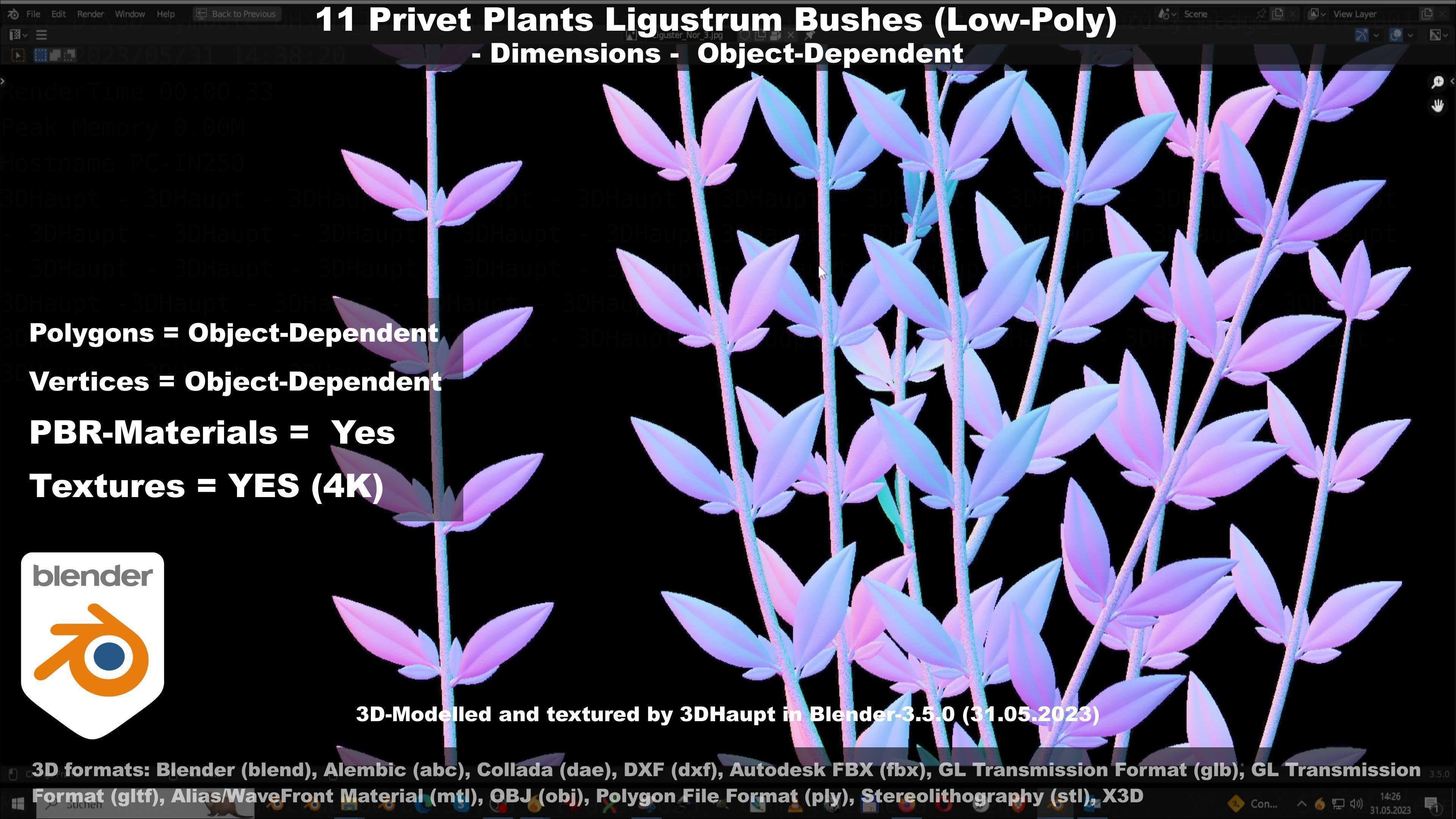 11 Privet Plants Ligustrum Low-poly 3D model_48