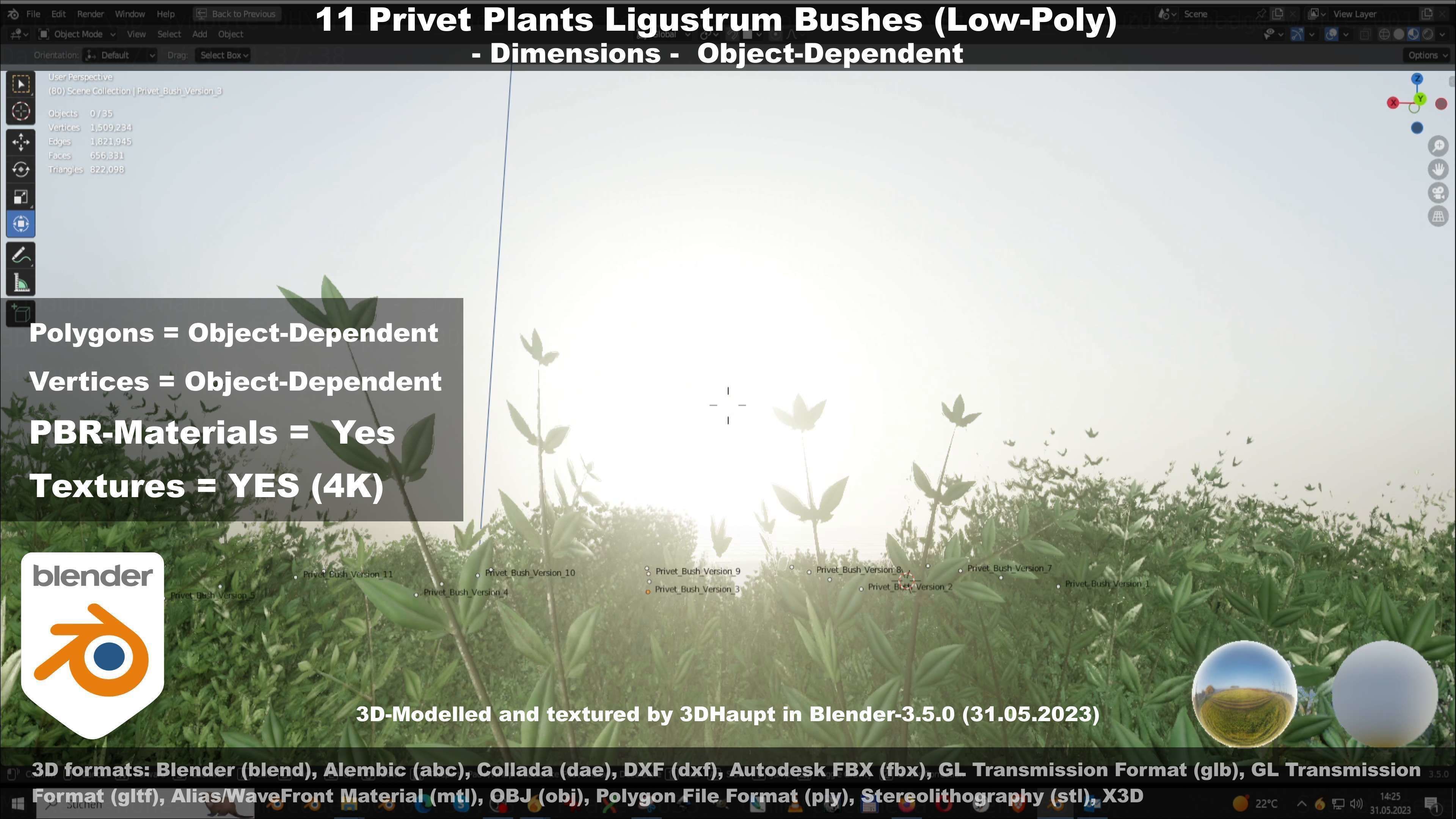 11 Privet Plants Ligustrum Low-poly 3D model_37