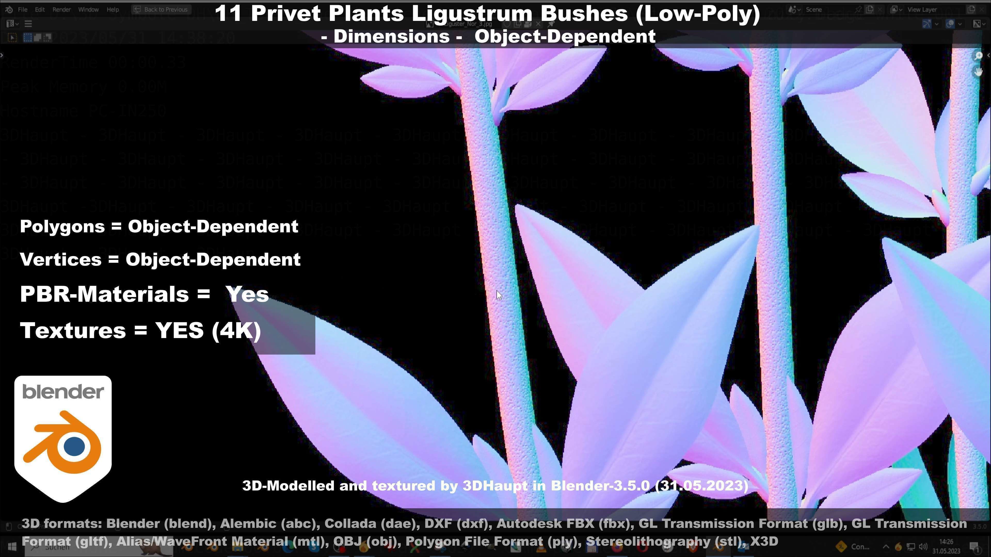 11 Privet Plants Ligustrum Low-poly 3D model_94
