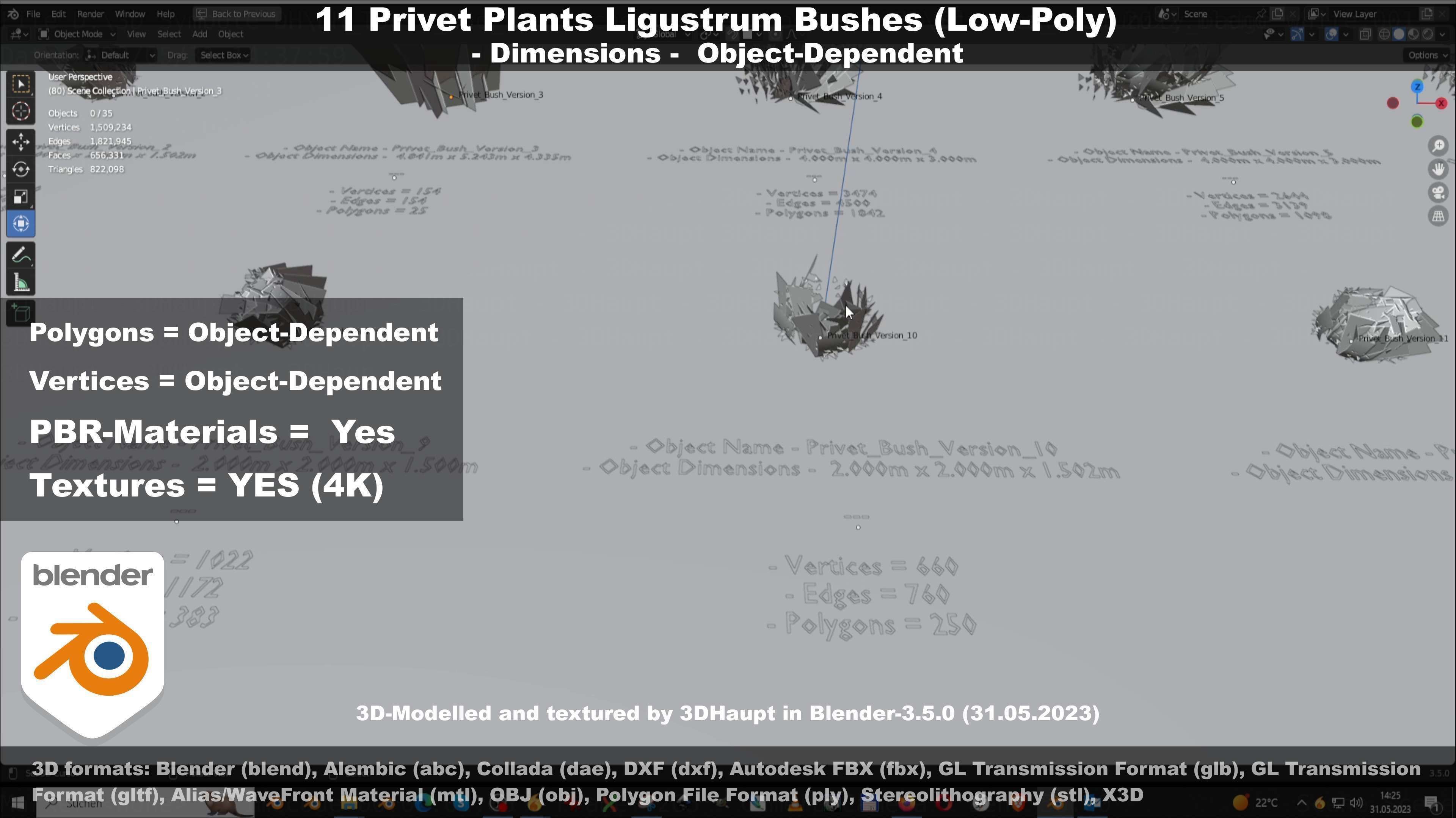 11 Privet Plants Ligustrum Low-poly 3D model_25