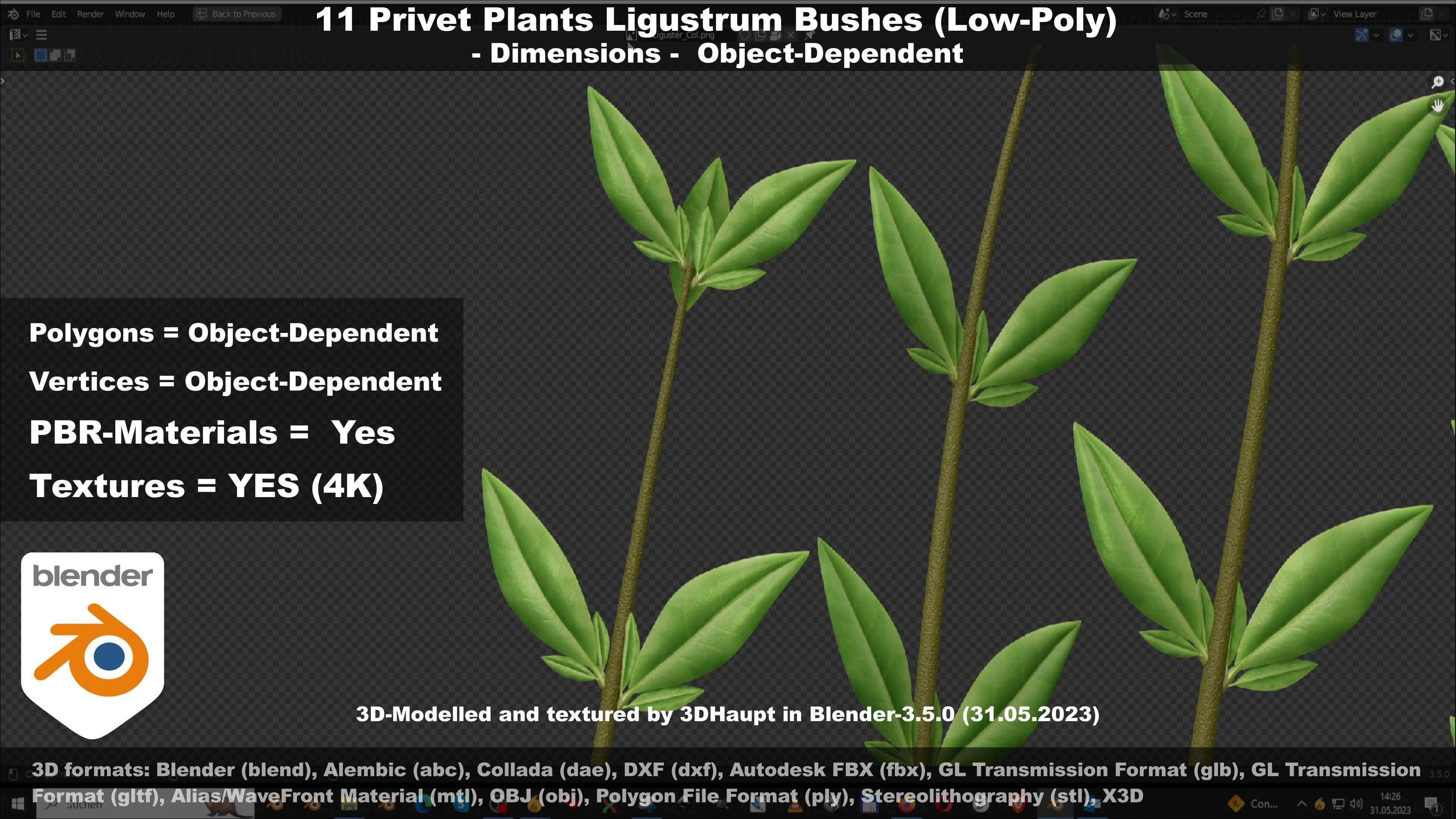 11 Privet Plants Ligustrum Low-poly 3D model_109