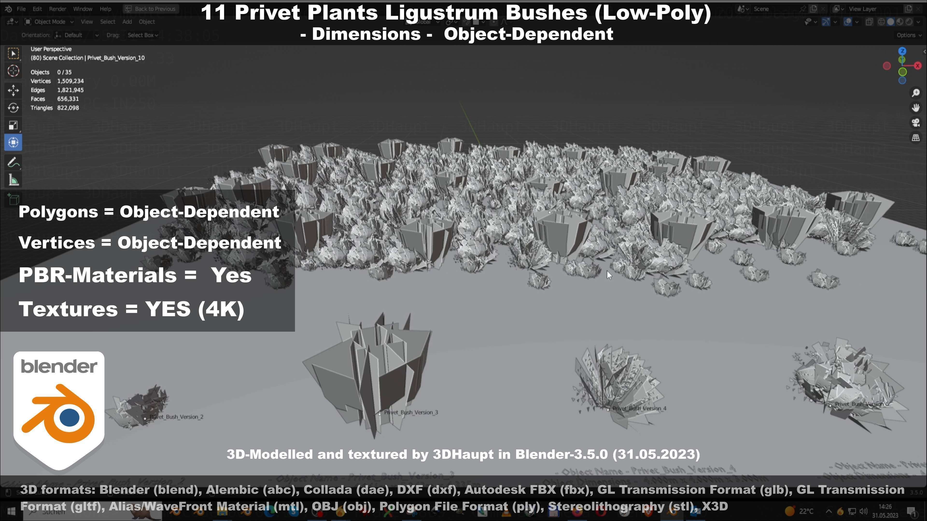 11 Privet Plants Ligustrum Low-poly 3D model_106