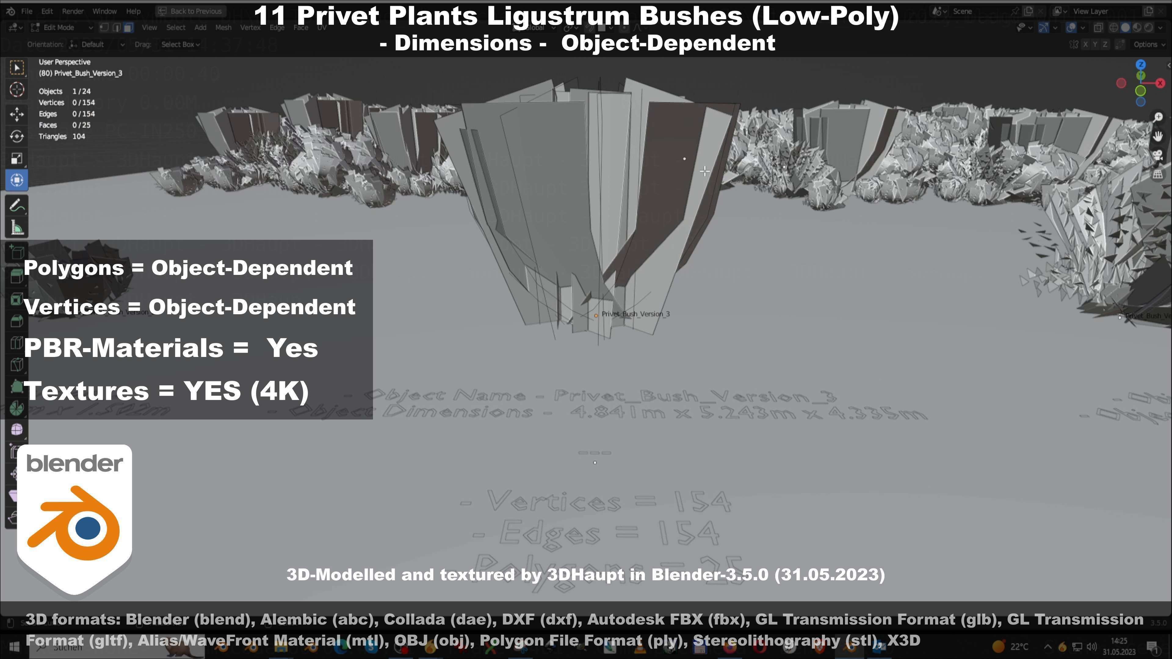 11 Privet Plants Ligustrum Low-poly 3D model_107