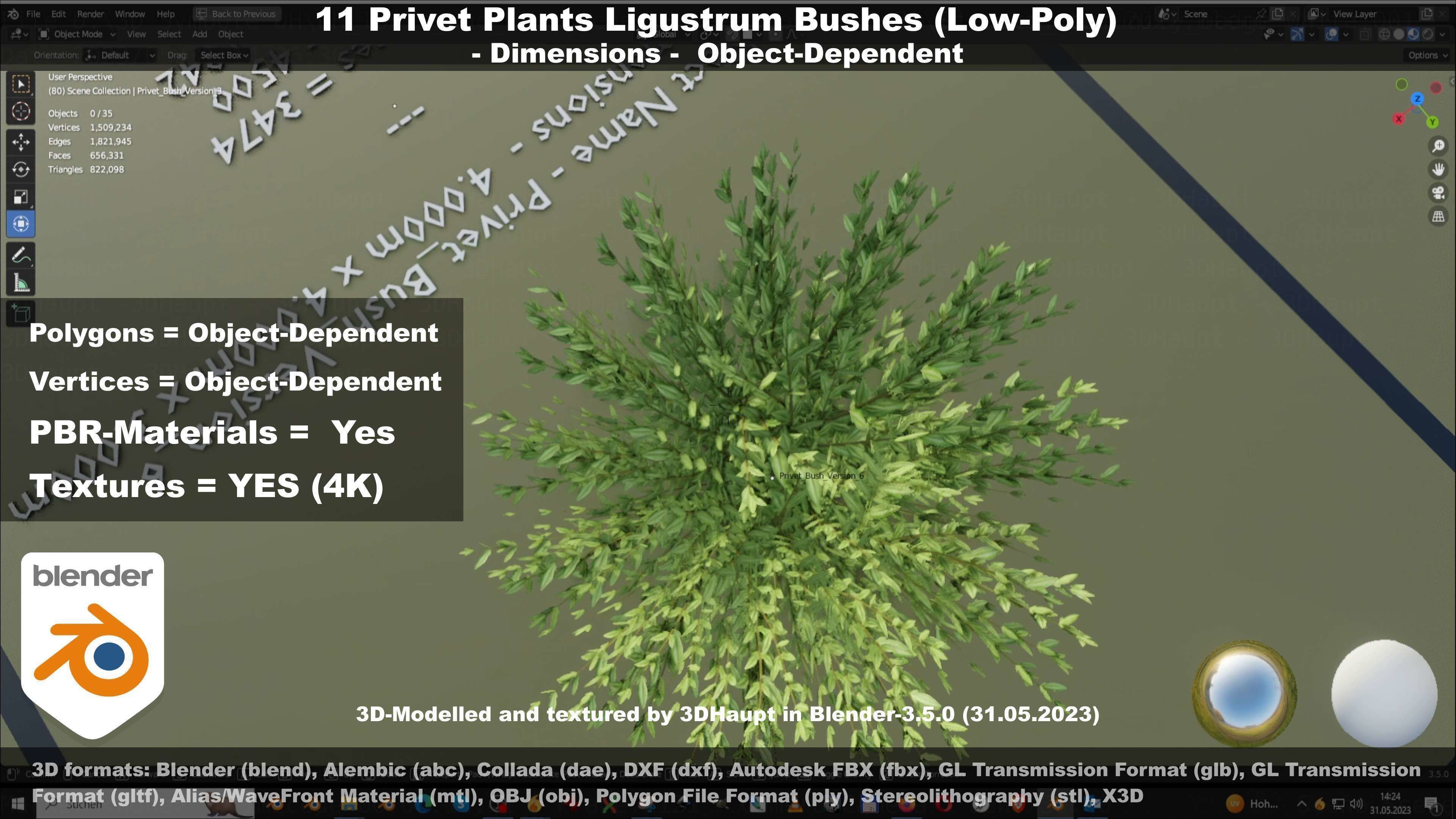 11 Privet Plants Ligustrum Low-poly 3D model_36