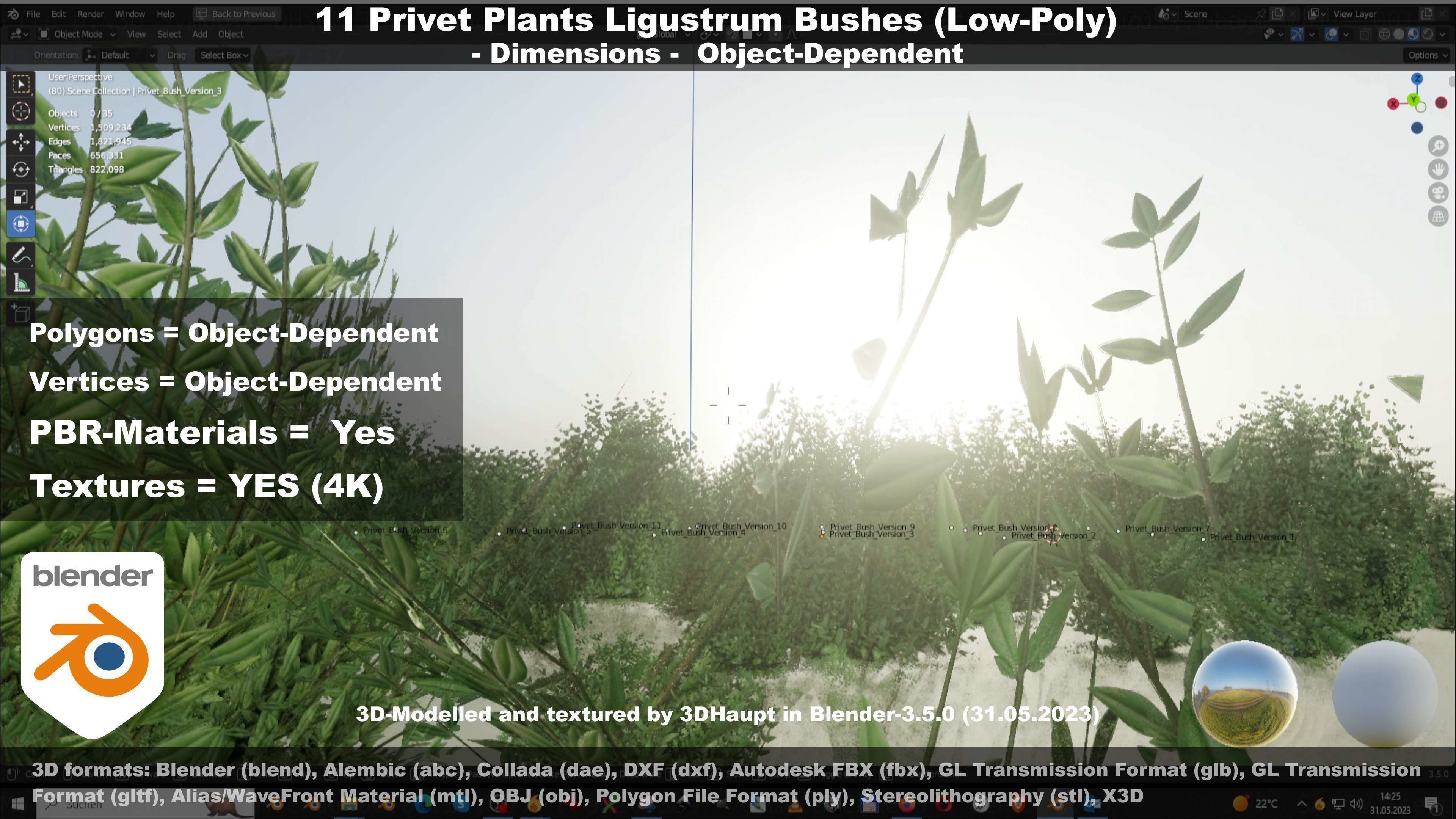 11 Privet Plants Ligustrum Low-poly 3D model_59