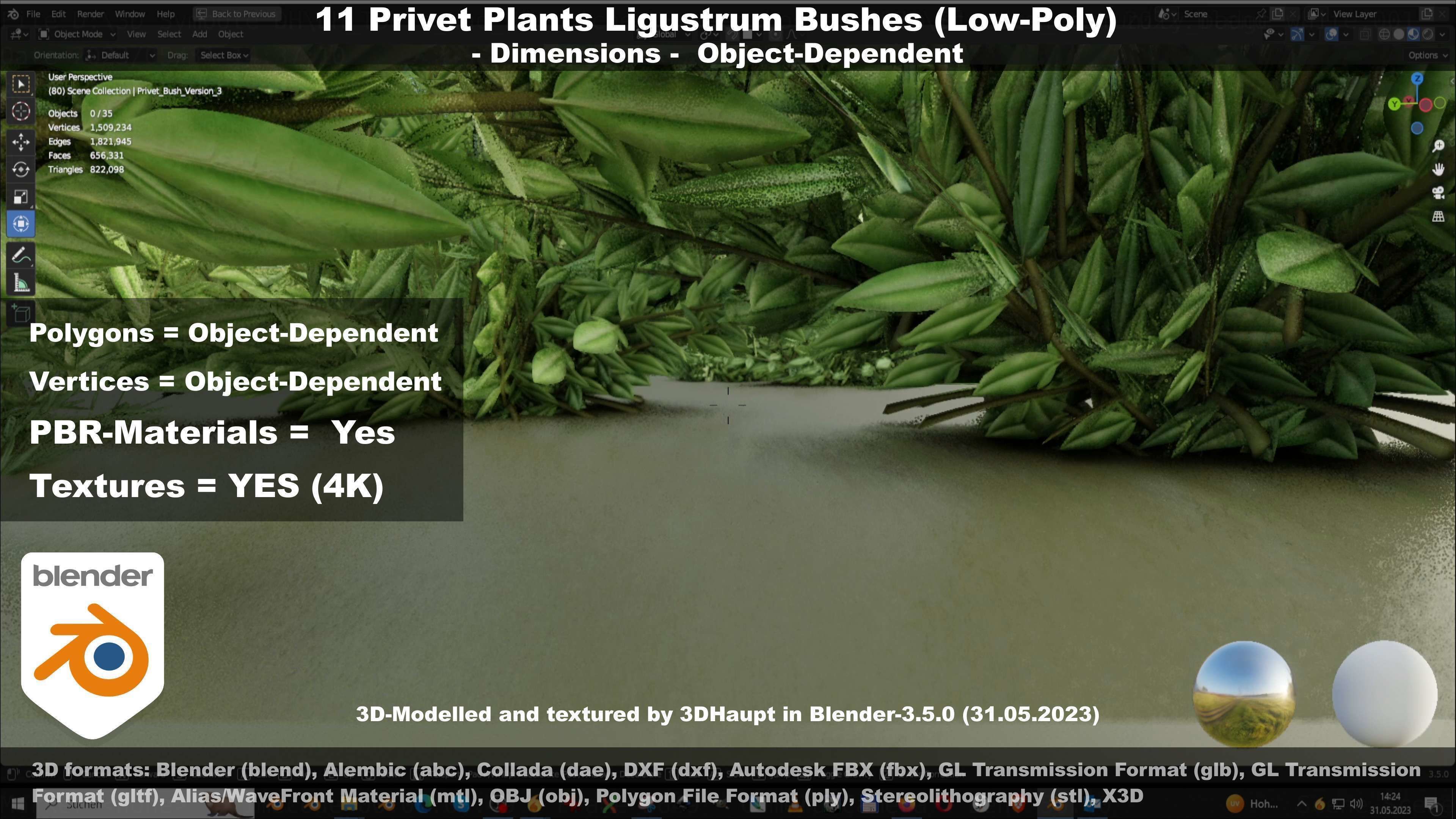 11 Privet Plants Ligustrum Low-poly 3D model_118