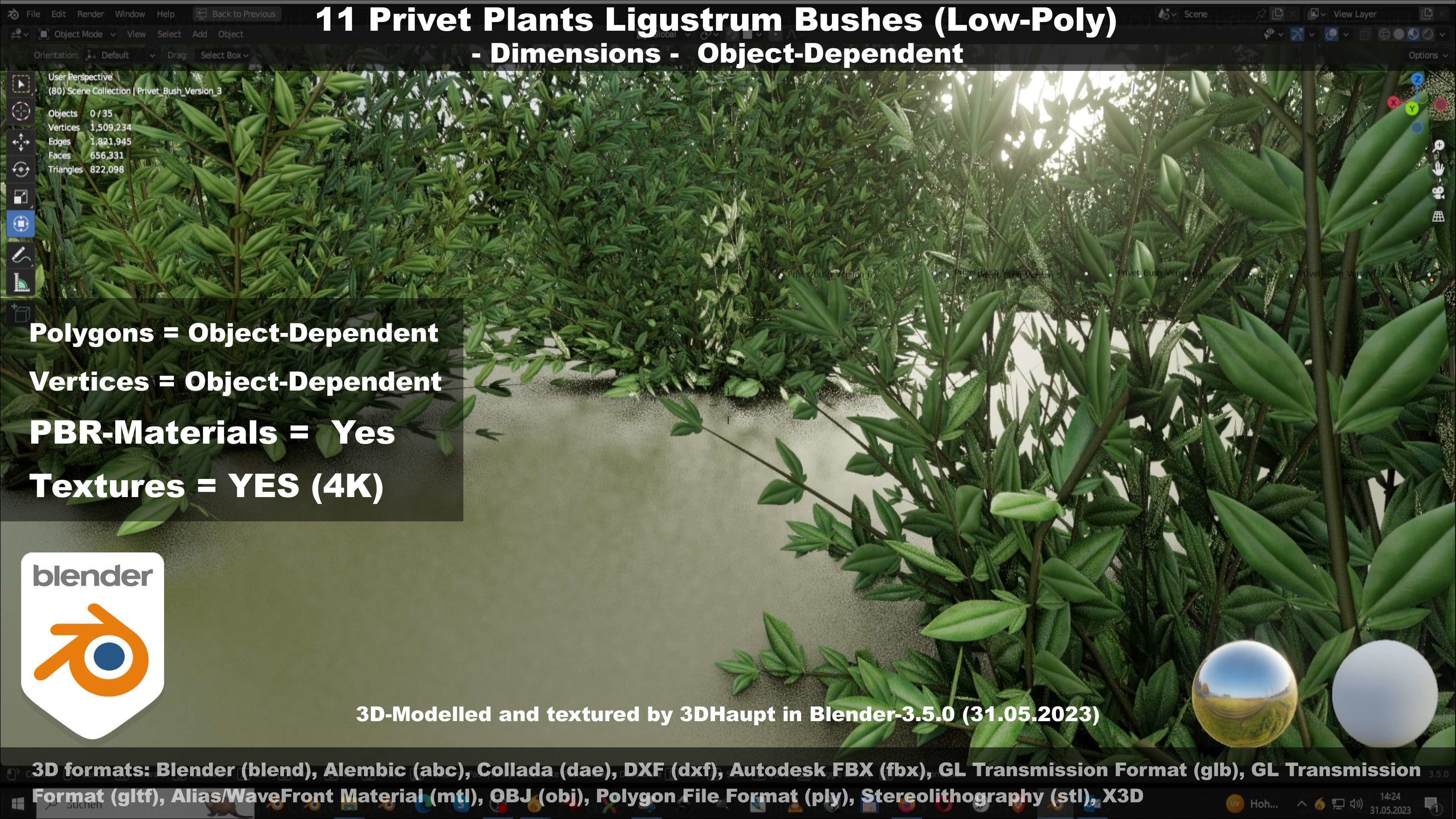 11 Privet Plants Ligustrum Low-poly 3D model_136