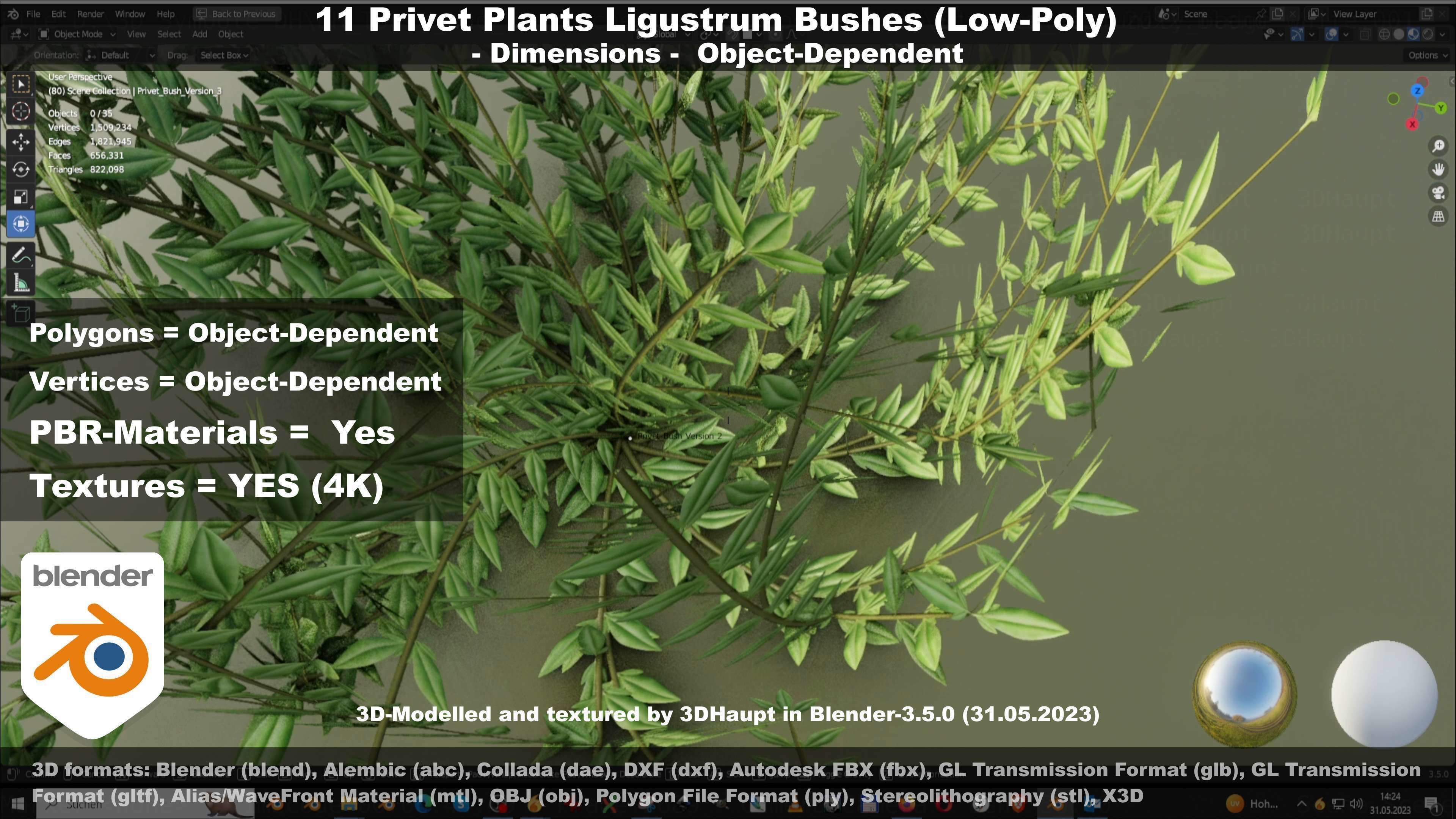 11 Privet Plants Ligustrum Low-poly 3D model_56