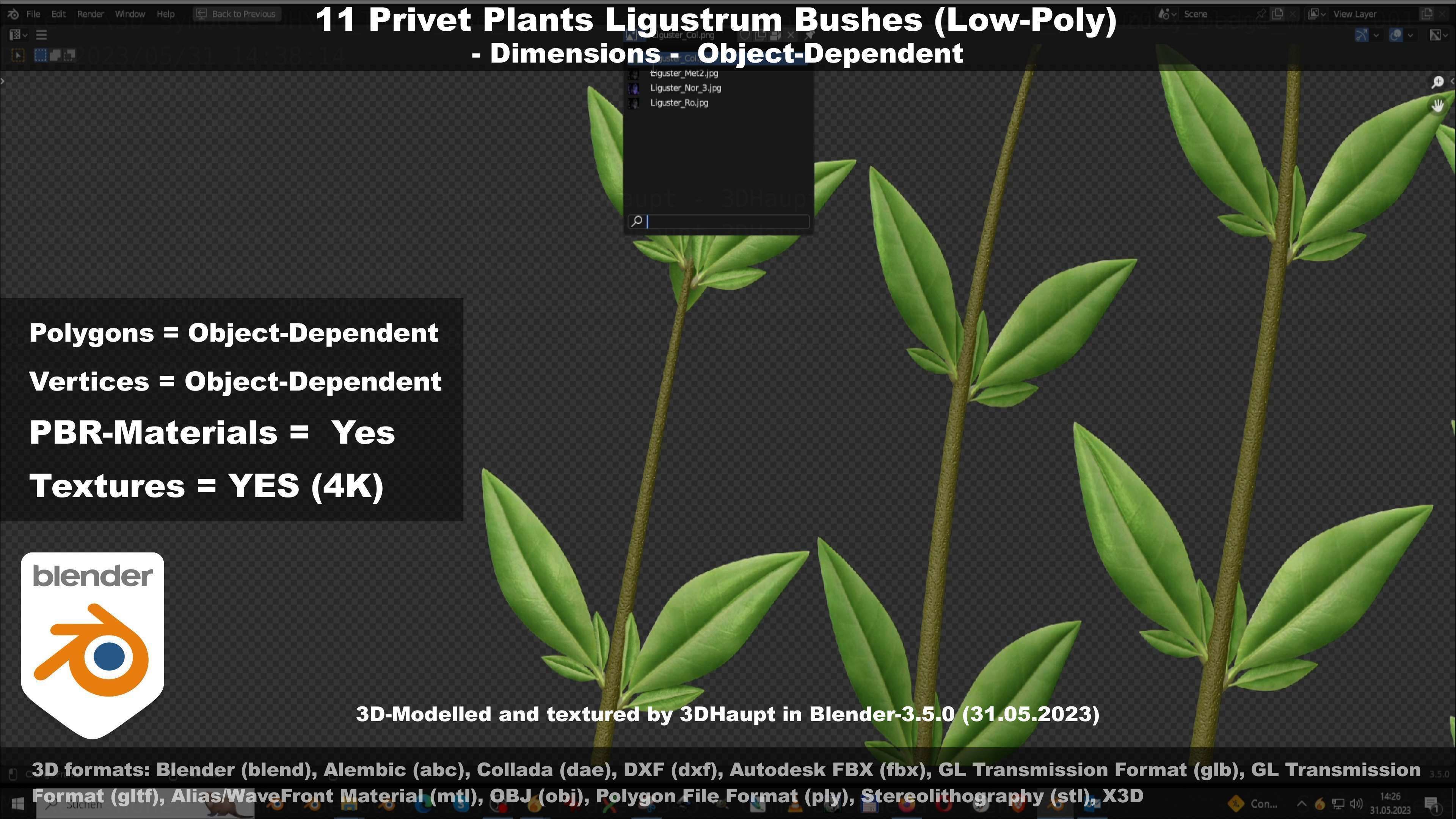 11 Privet Plants Ligustrum Low-poly 3D model_47