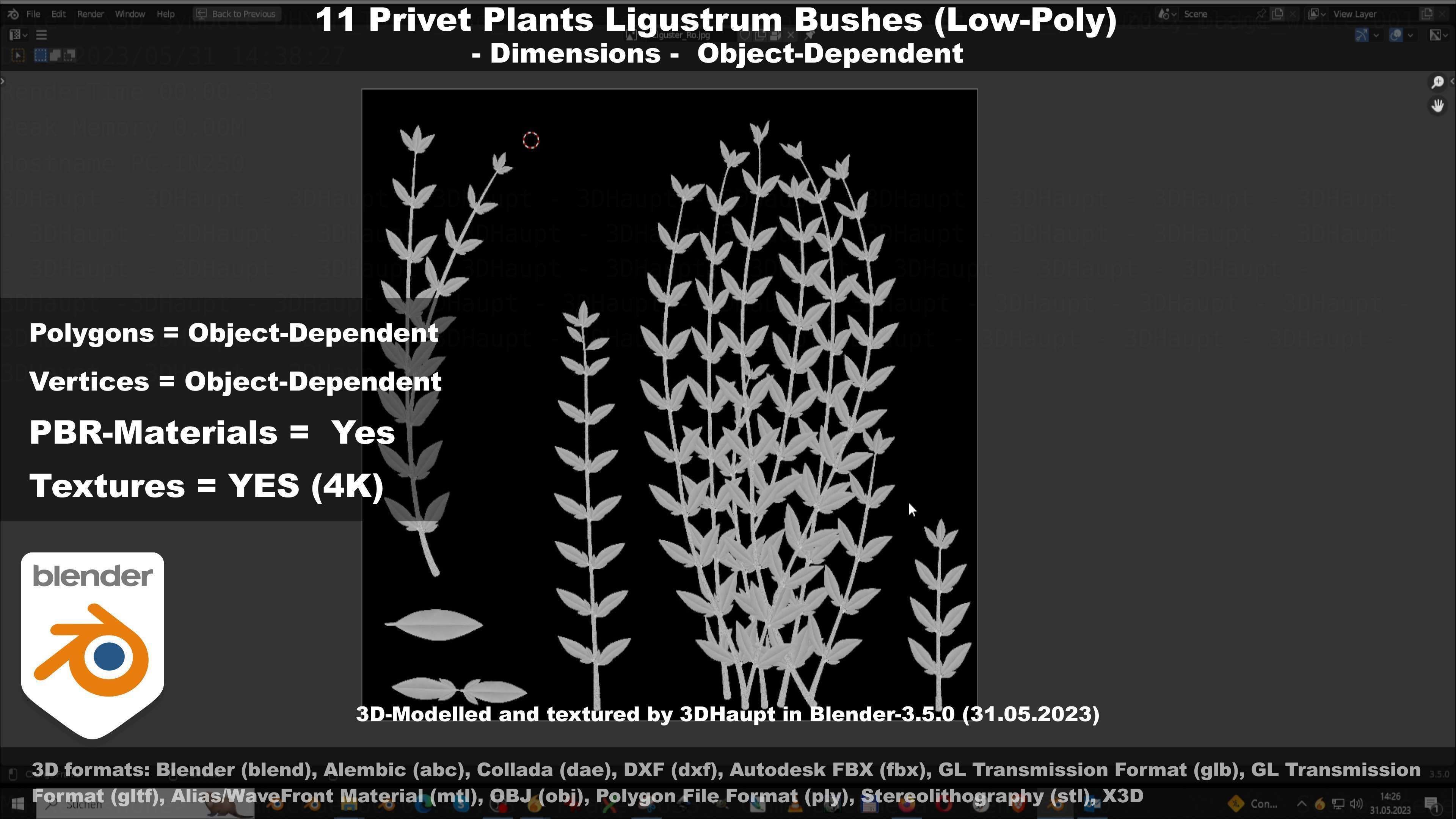 11 Privet Plants Ligustrum Low-poly 3D model_27
