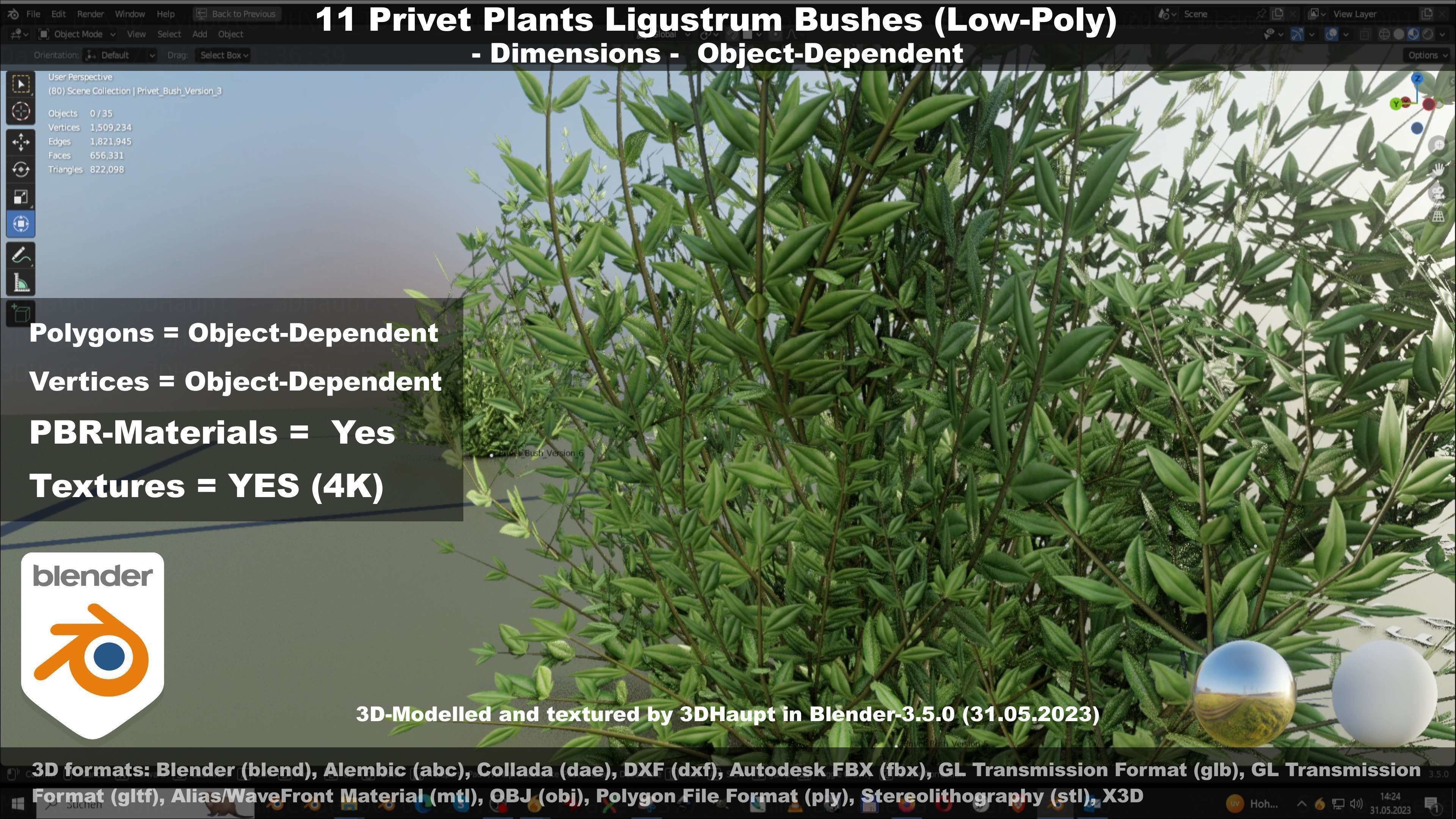11 Privet Plants Ligustrum Low-poly 3D model_71
