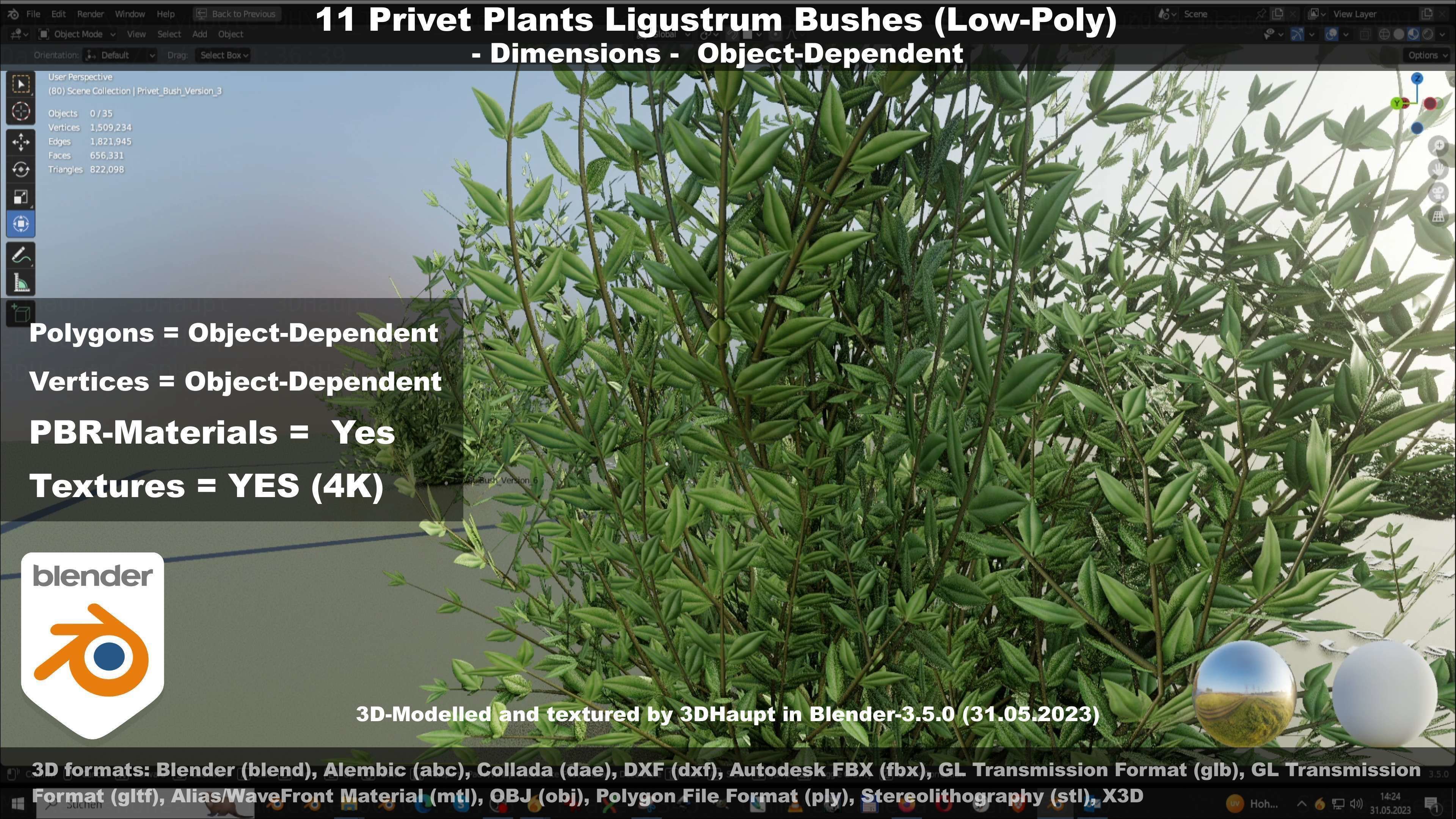 11 Privet Plants Ligustrum Low-poly 3D model_137