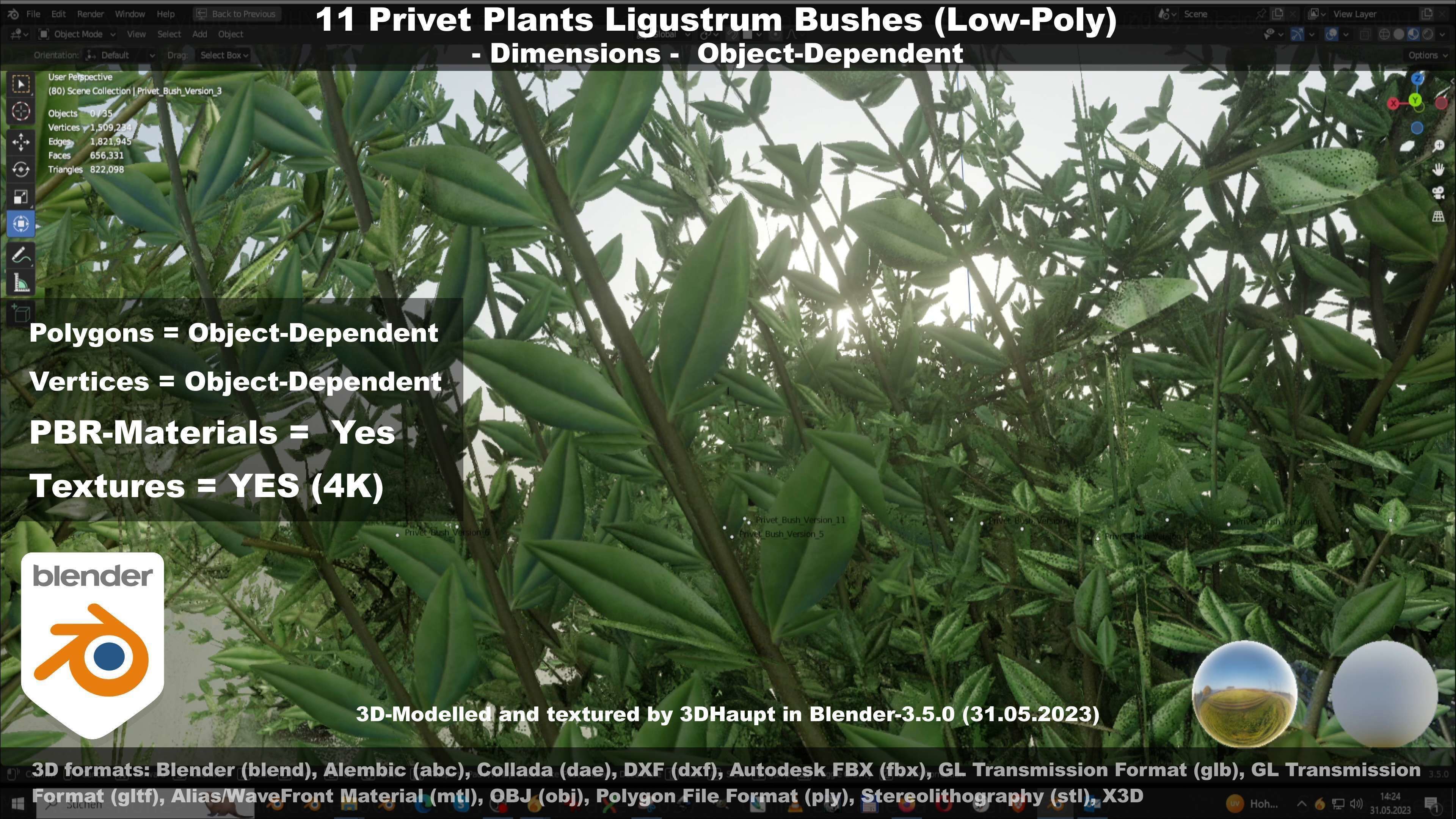 11 Privet Plants Ligustrum Low-poly 3D model_69