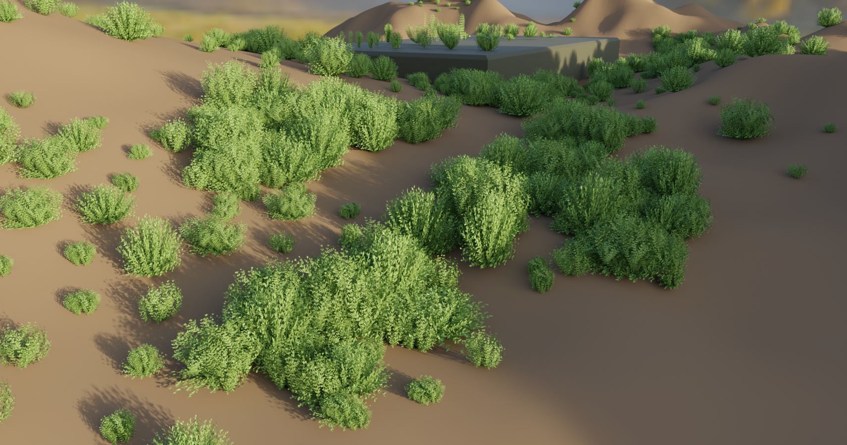 11 Privet Plants Ligustrum Low-poly 3D model_7